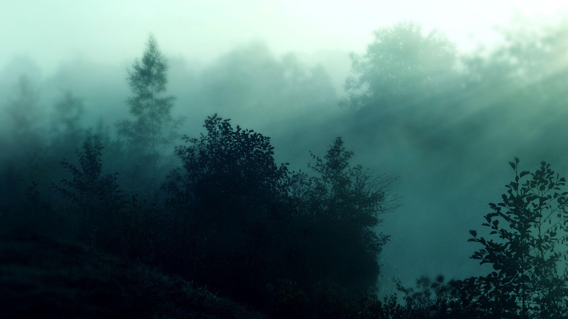 1920x1080 nature, forests, mist wallpaper