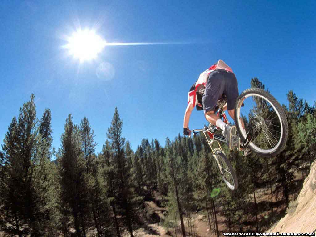 1024x768 Mountain Biking Wallpaper