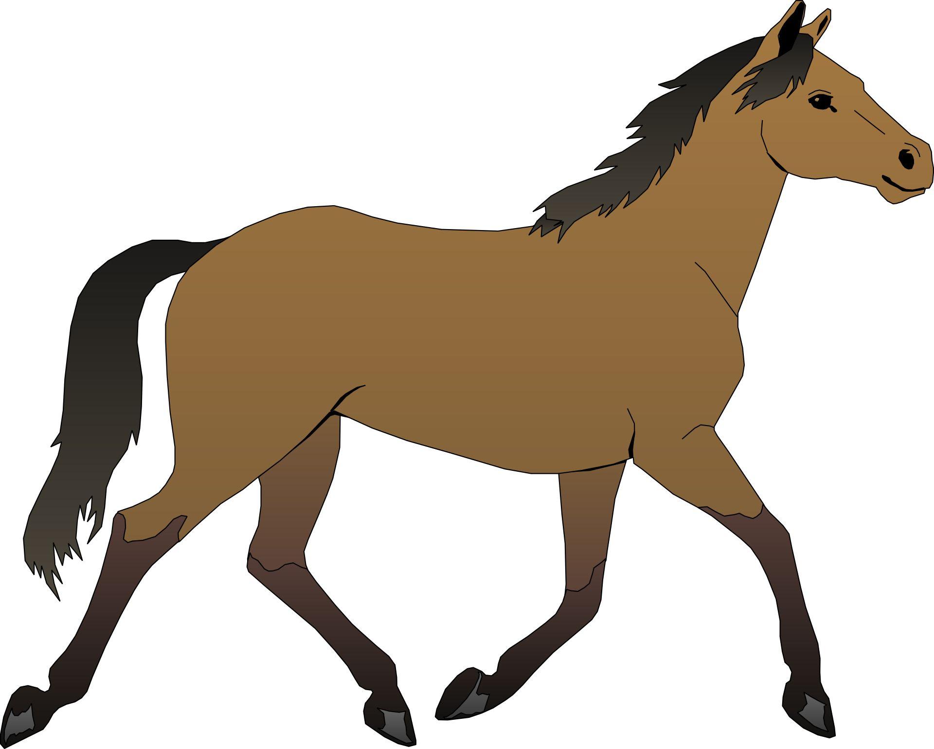 Cartoon Horse Wallpapers - Top Free Cartoon Horse Backgrounds -  WallpaperAccess