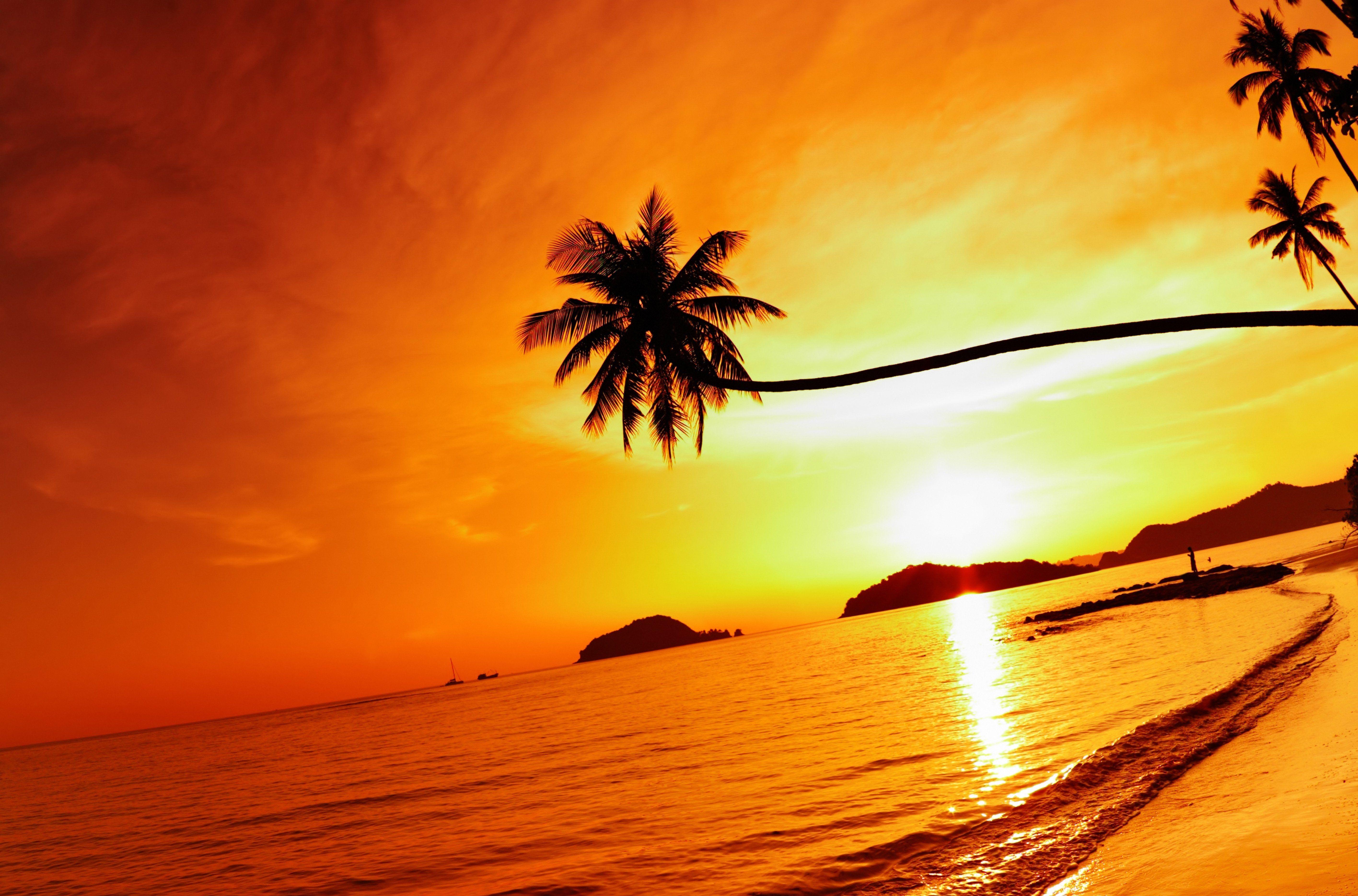 5666x3739 Thailand Beach Sea Sunset Sky Palm Tree .