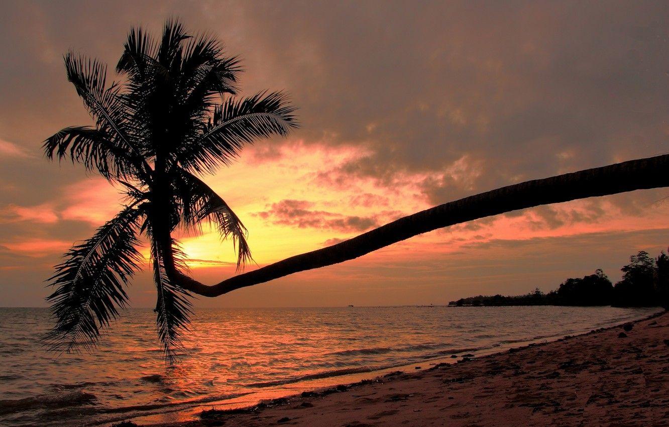 1332x850 Wallpaper beach, sunset, Palma, coast, Thailand, The Gulf of Thailand, Gulf of Thailand, Ko Phangan, Koh Phangan, Tailand image for desktop, section пейзажи