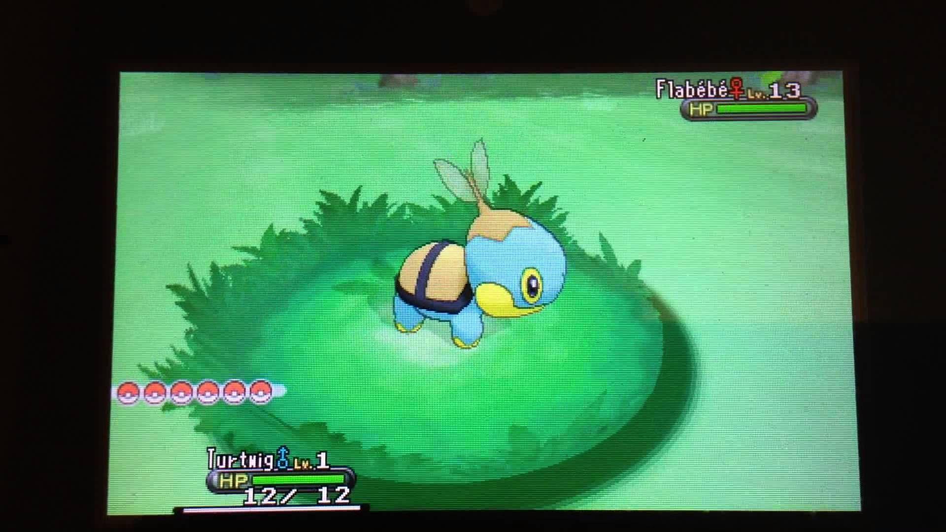 1920x1080 Browsing Wallpaper 1920×1080 Turtwig wallpaper 30