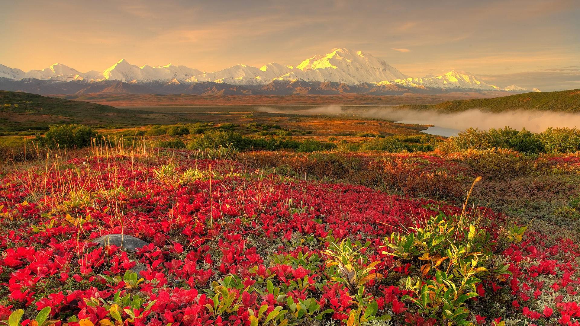 1920x1080 Tundra Wallpaper