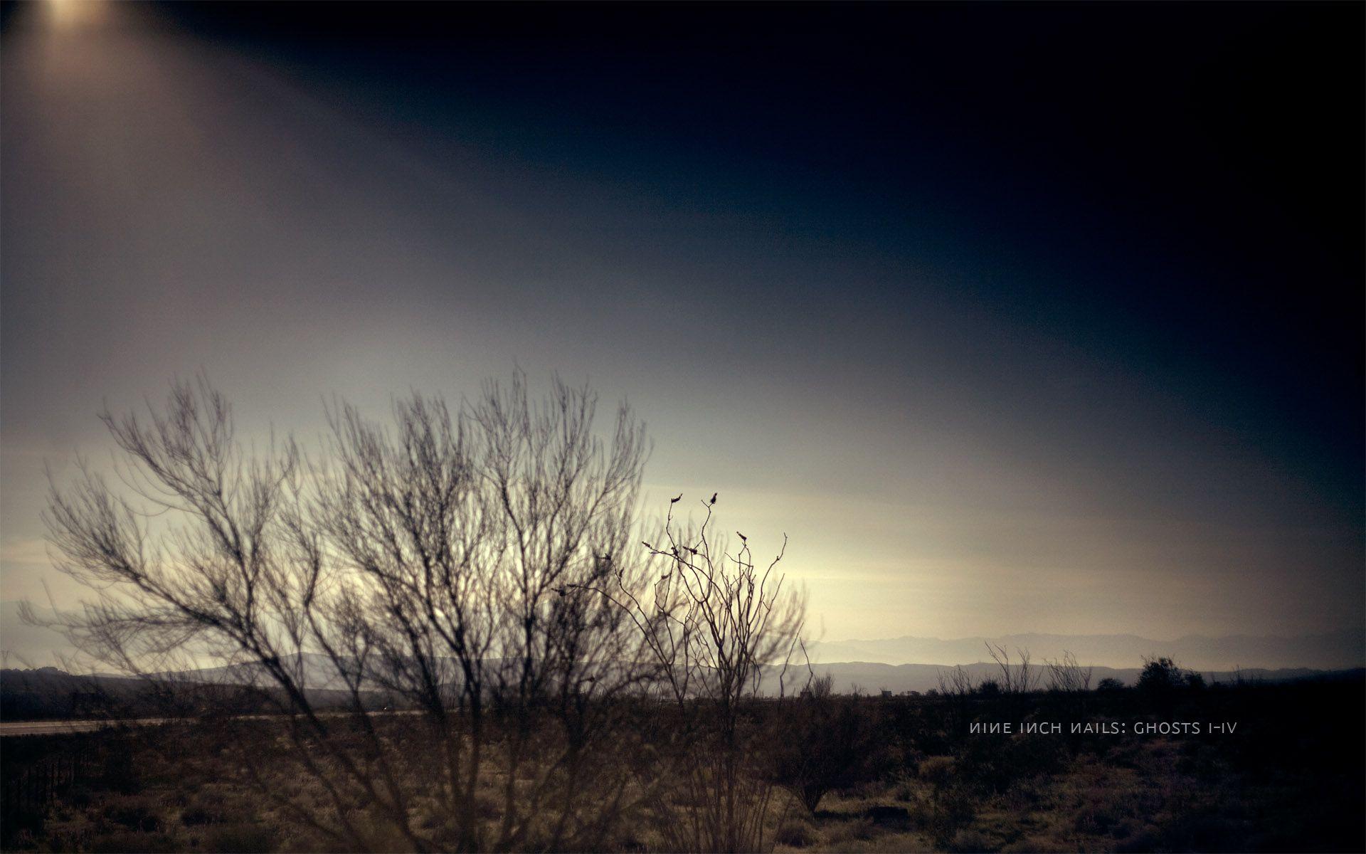 1920x1200 Majestic Wallpaper From NIN I III Album