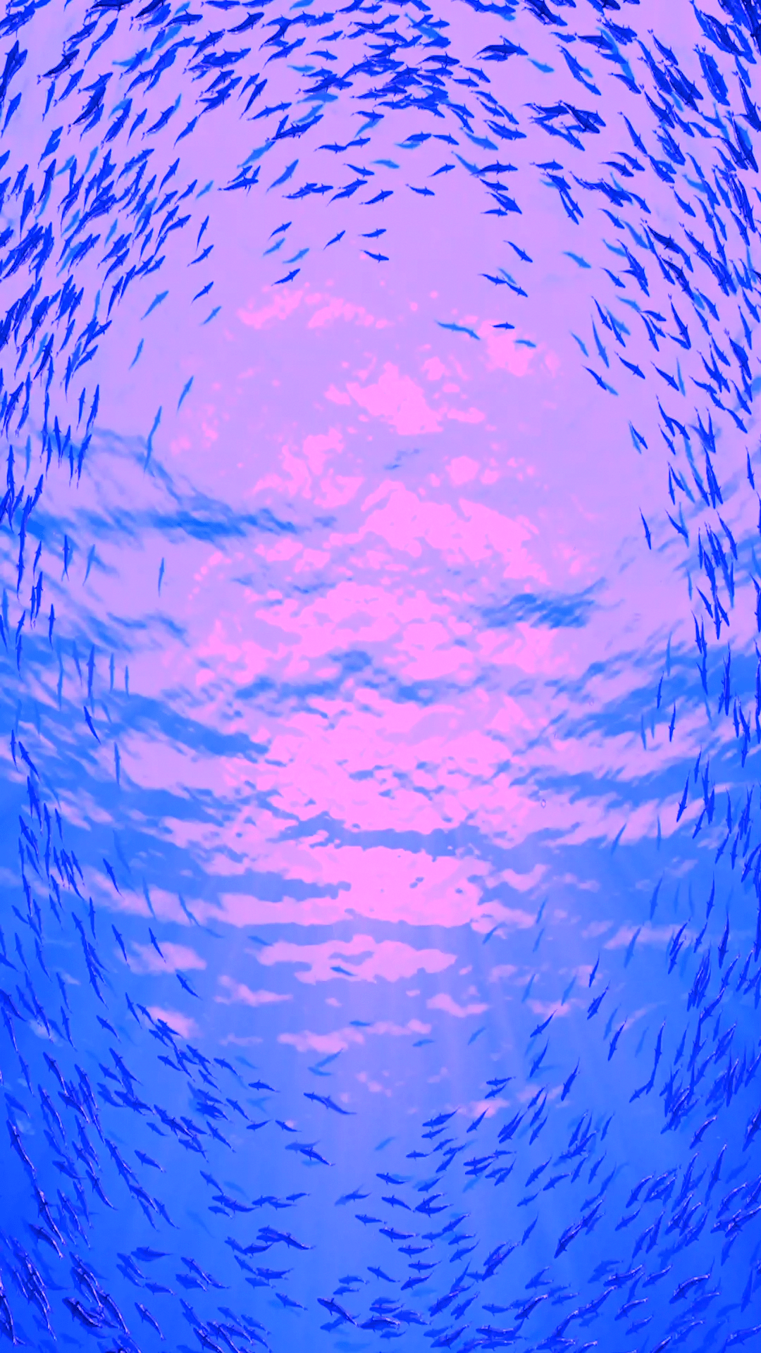 1080x1920 psychologyvideosfondos. Aesthetic