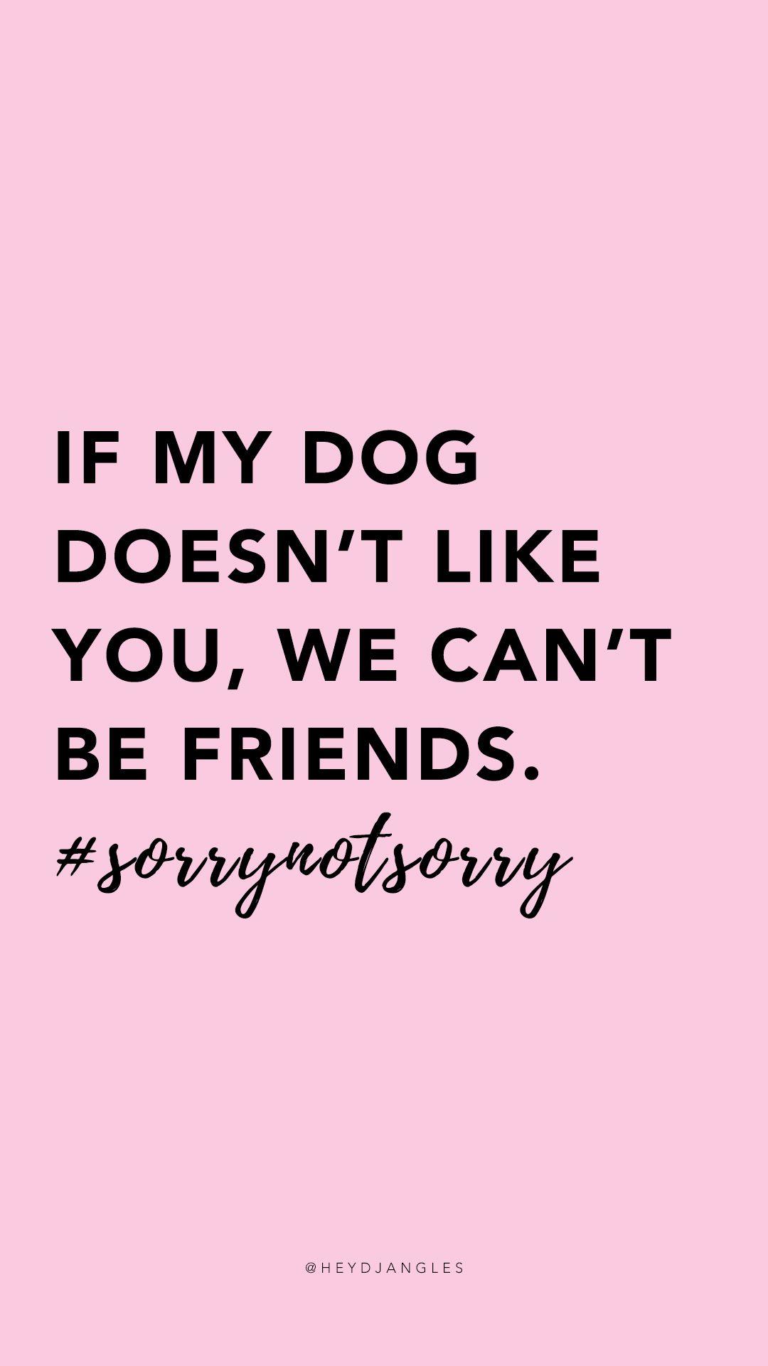 1080x1920 Free HD Dog Quote Wallpaper For Mobile Calm Harry Potter