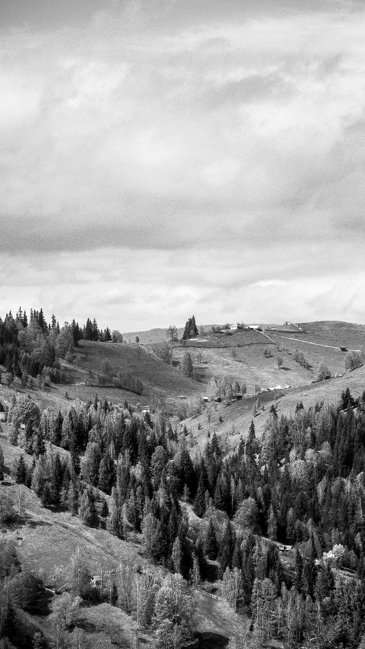 1242x2208 Landscape Nature Bw Dark