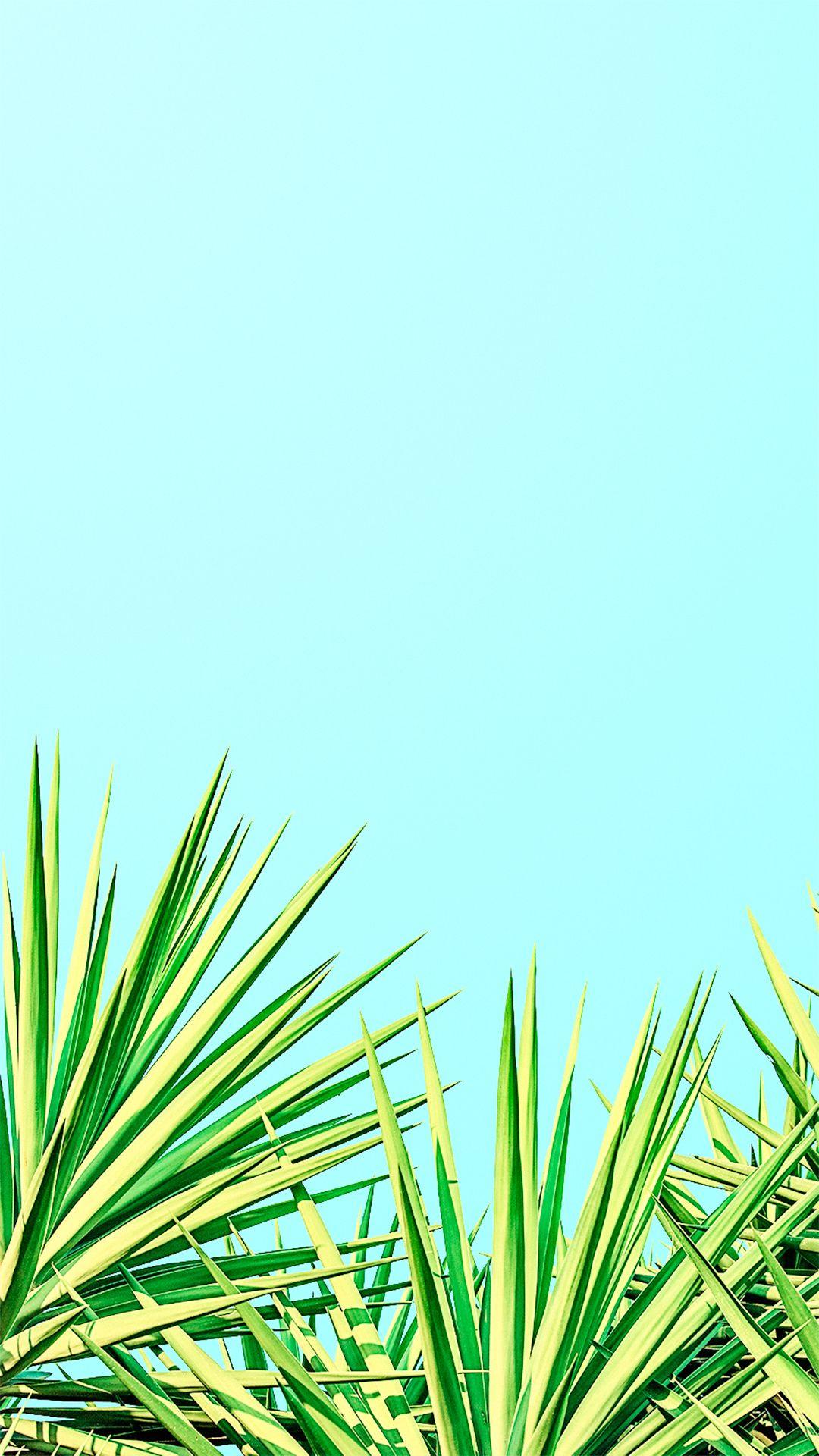 1080x1920 minimalist wallpaper iphone