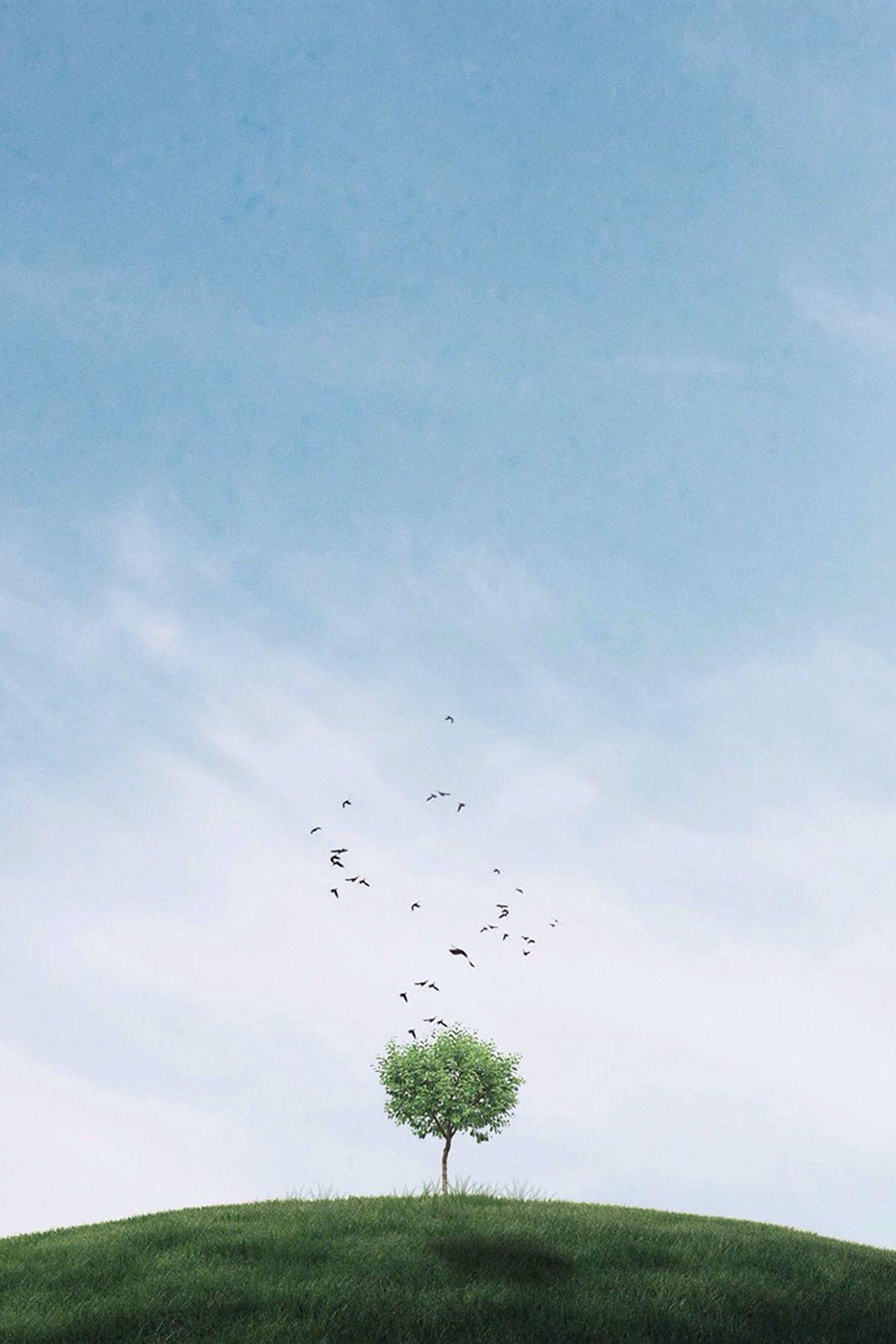 2560x3840 Tree On The Hill Mobile Wallpaper