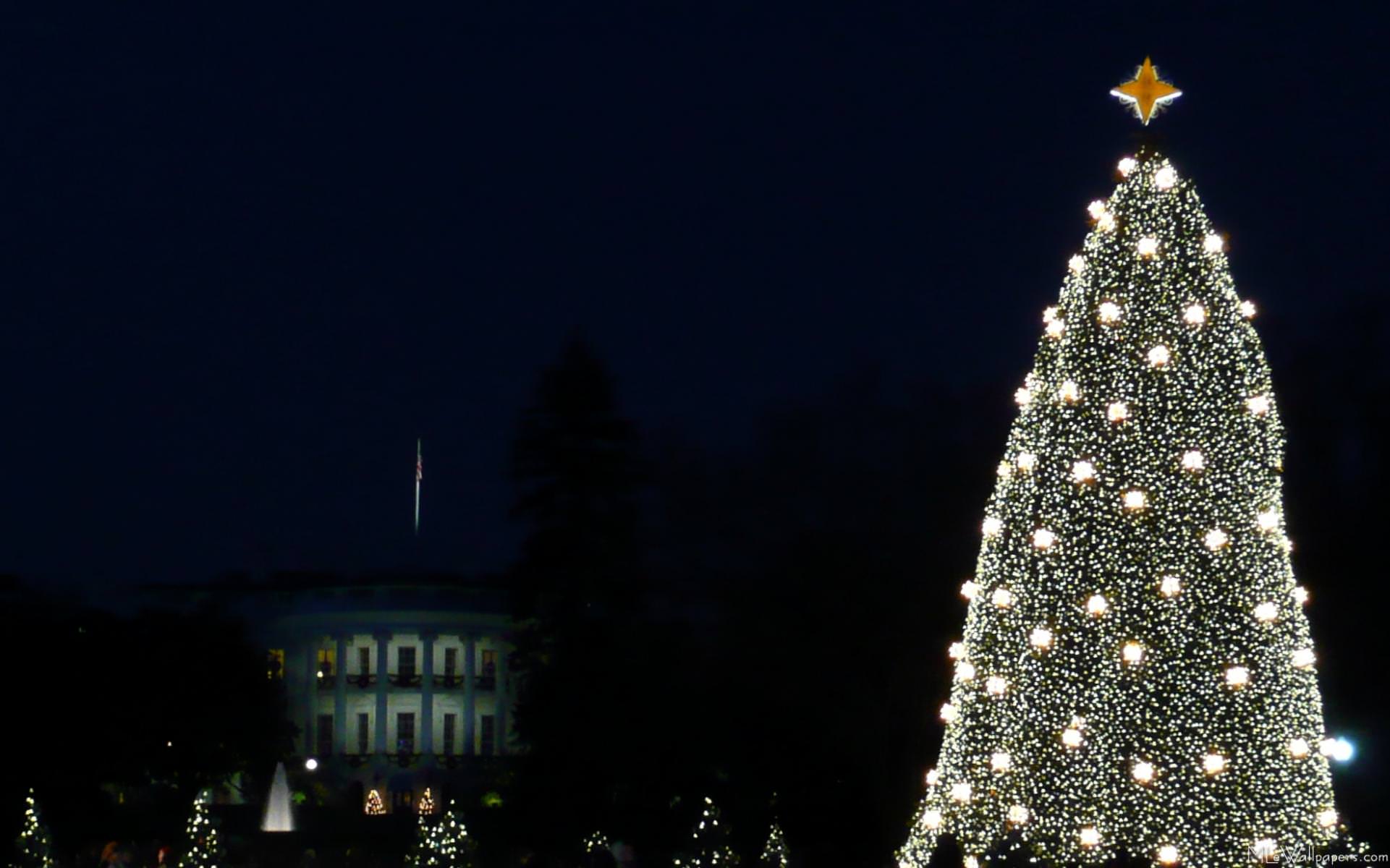 1921x1200 MLeWallpaper.com House and National Christmas Tree