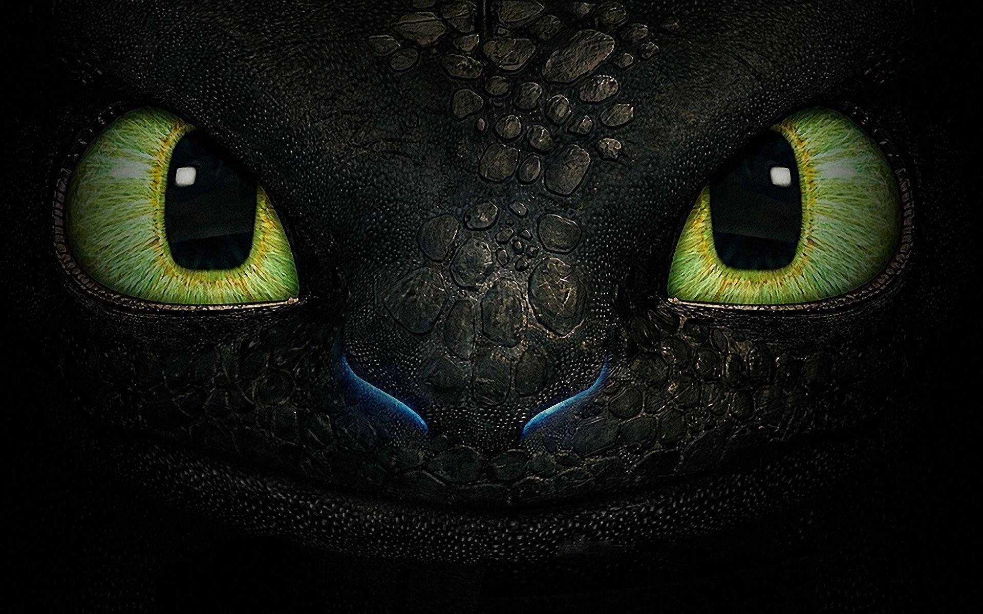 1920x1200 Toothless the Dragon Wallpaper