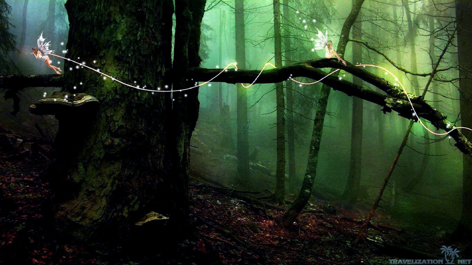 Forest Fairy Wallpapers Top Free Forest Fairy Backgrounds Wallpaperaccess