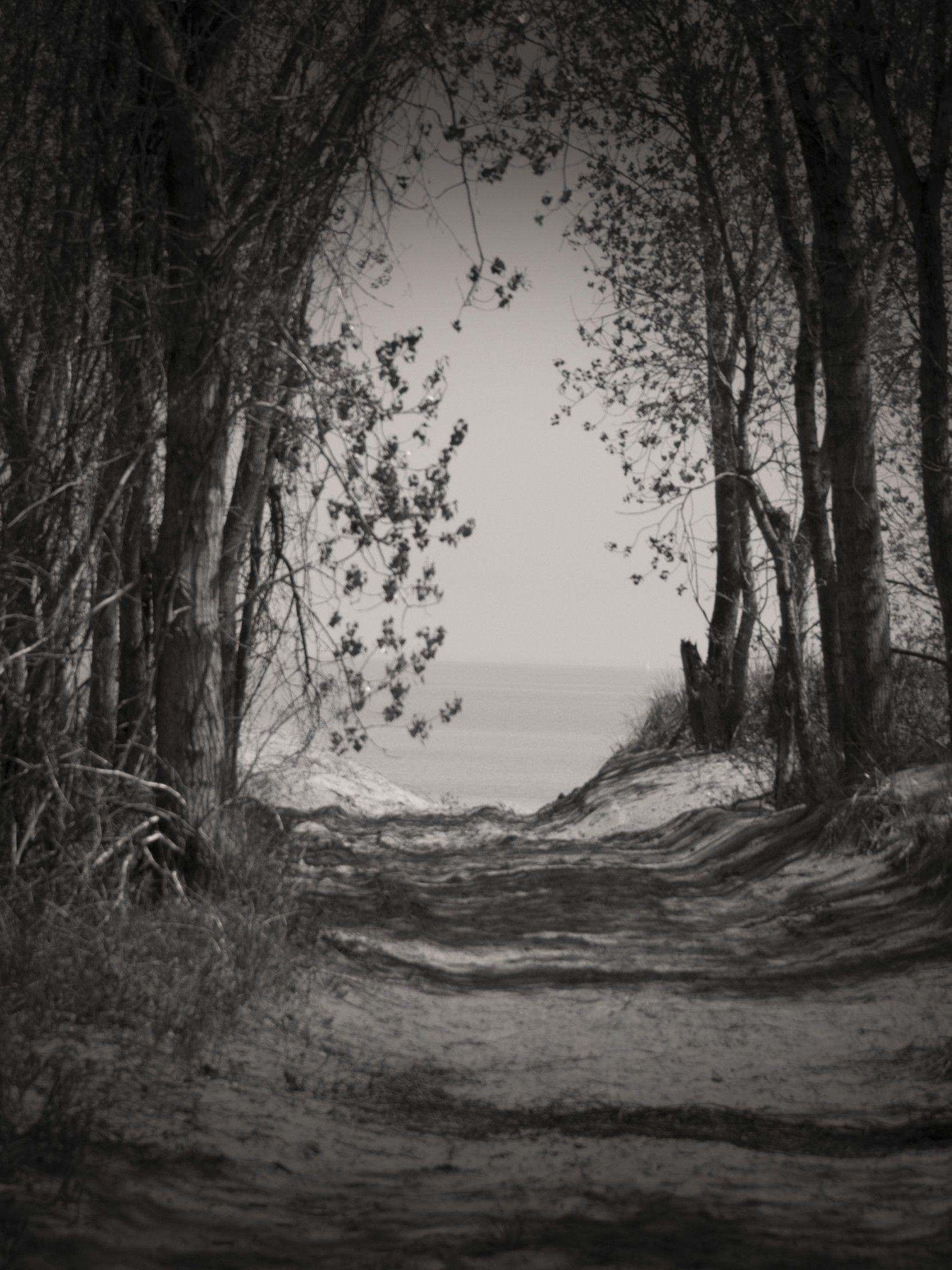 1668x2224 Download Dark Woods Circus Kaito, Dark Woods Kennel
