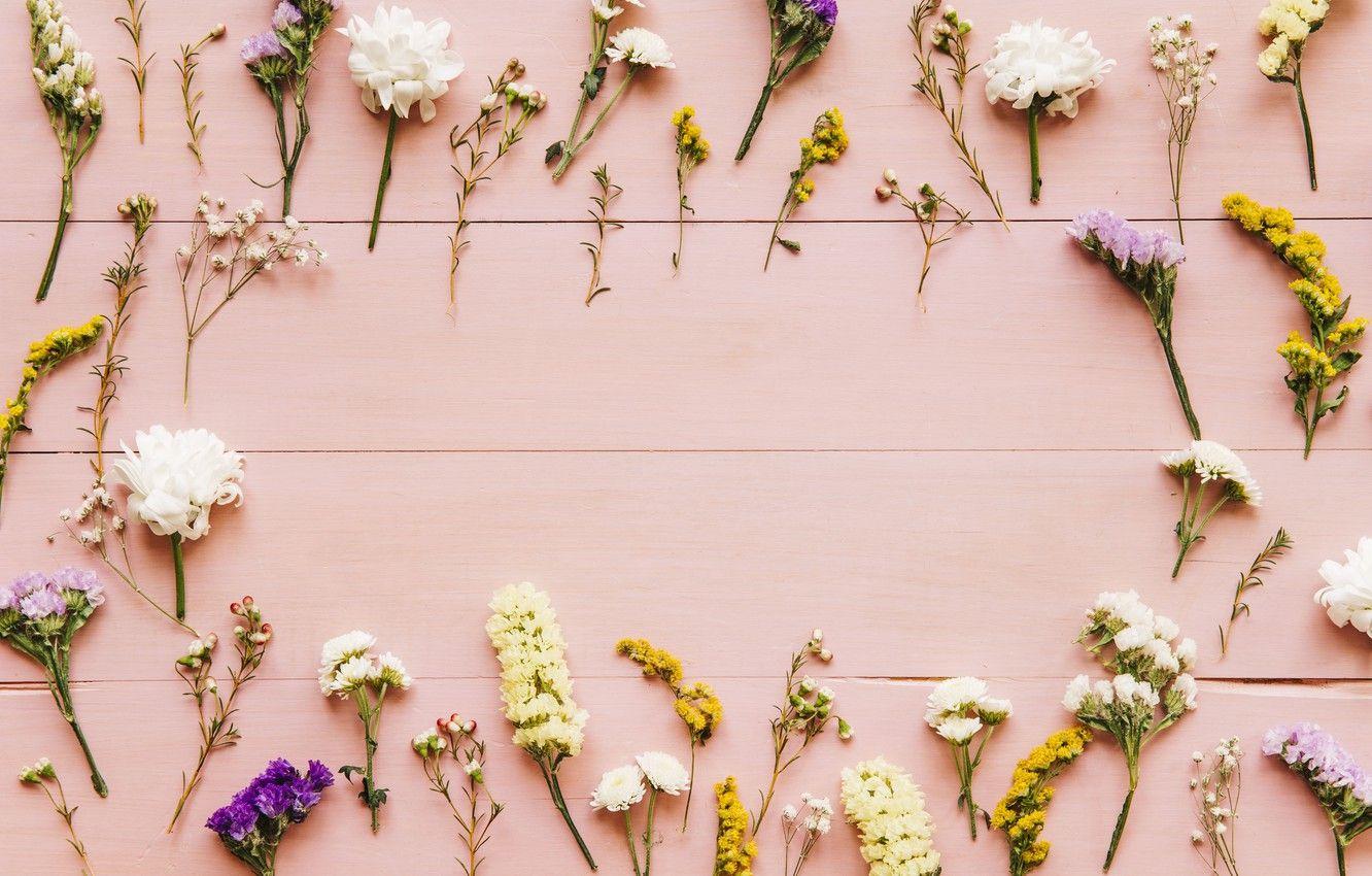 1332x850 Wallpaper flowers, background, spring, pink, flowers, background