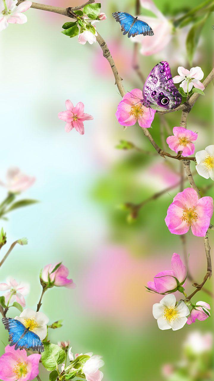 720x1280 Flowers Live Wallpaper: Appstore for Android