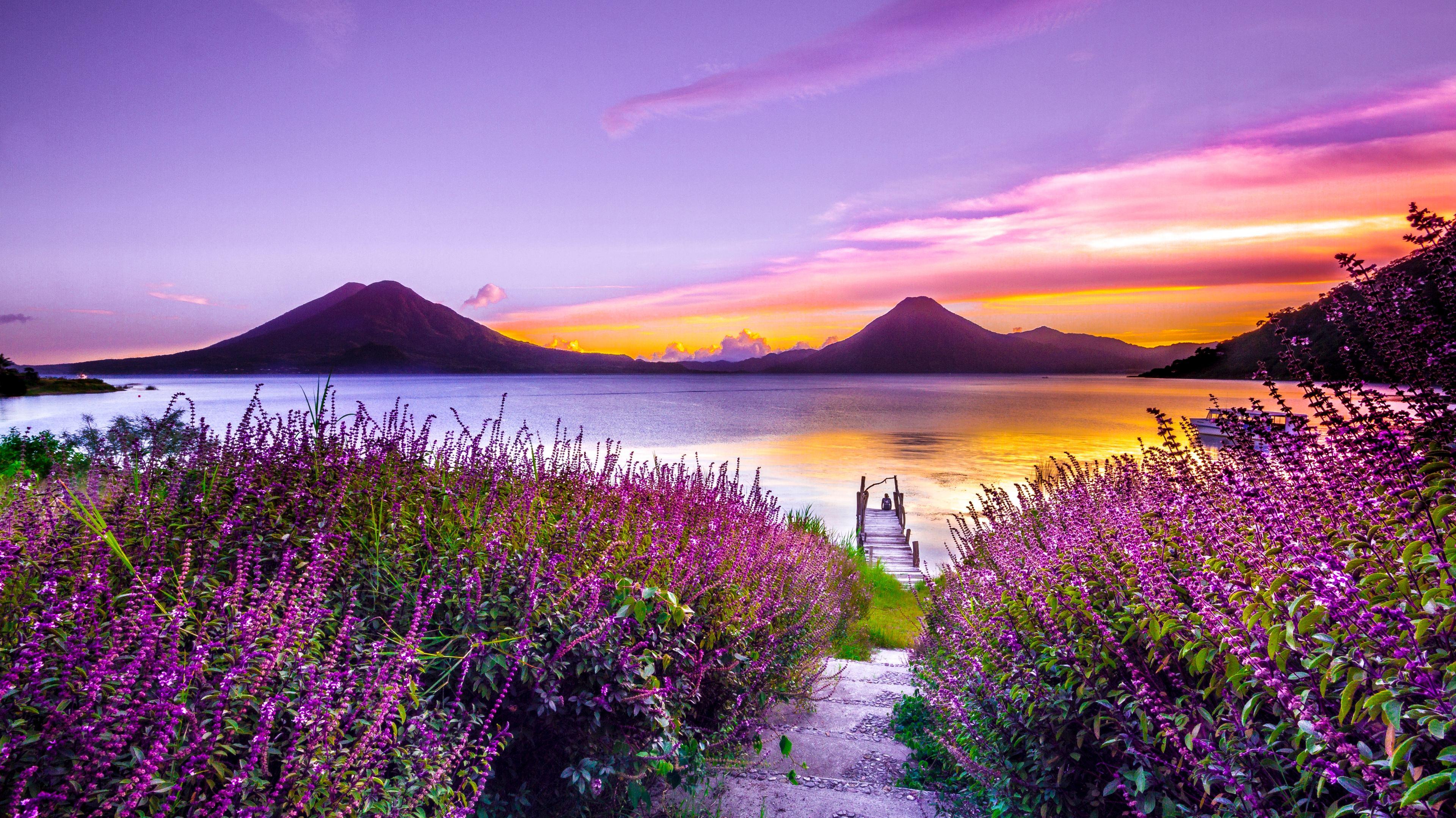 3840x2160 Wallpaper 4k Volcano Sunset Flower Purple Dreamy Landscape 4k 5k 4k- wallpaper, 5k wallpaper, dreamy wallpaper, flowers wallpaper, hd- wallpaper, landscape wallpaper, mountains wallpaper, sunset wallpaper