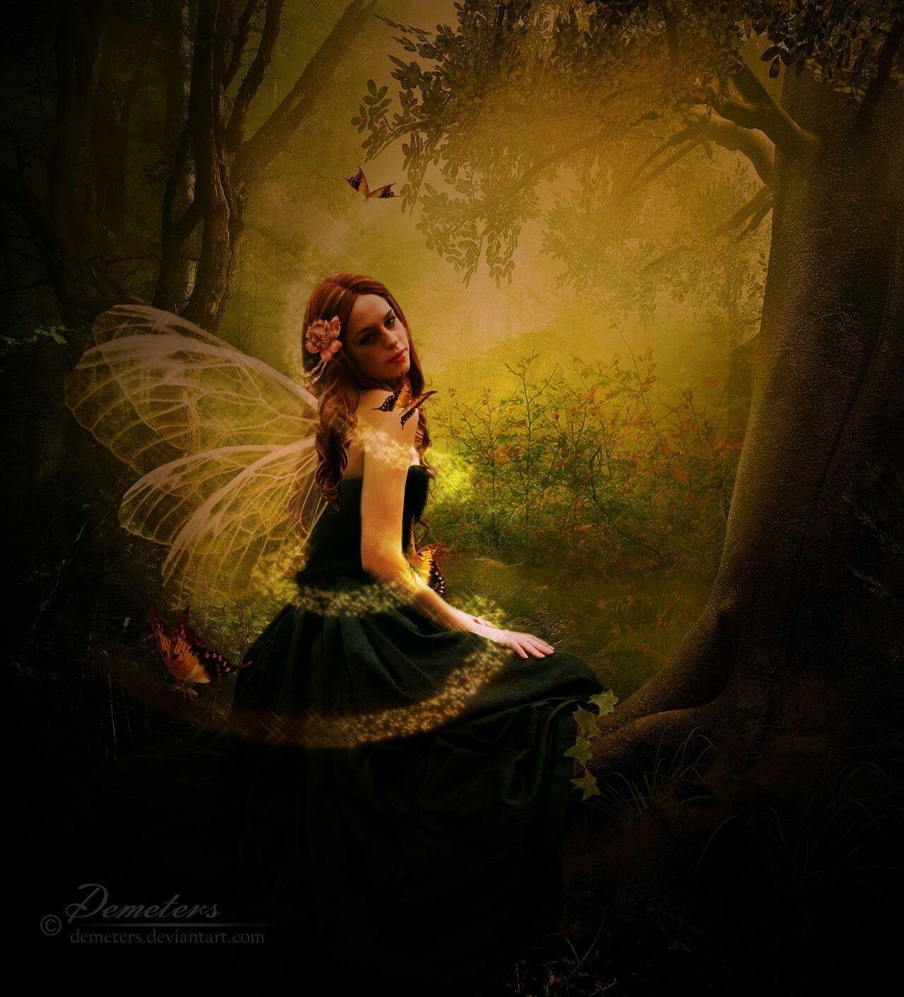 Forest Fairy Wallpapers Top Những Hình Ảnh Đẹp