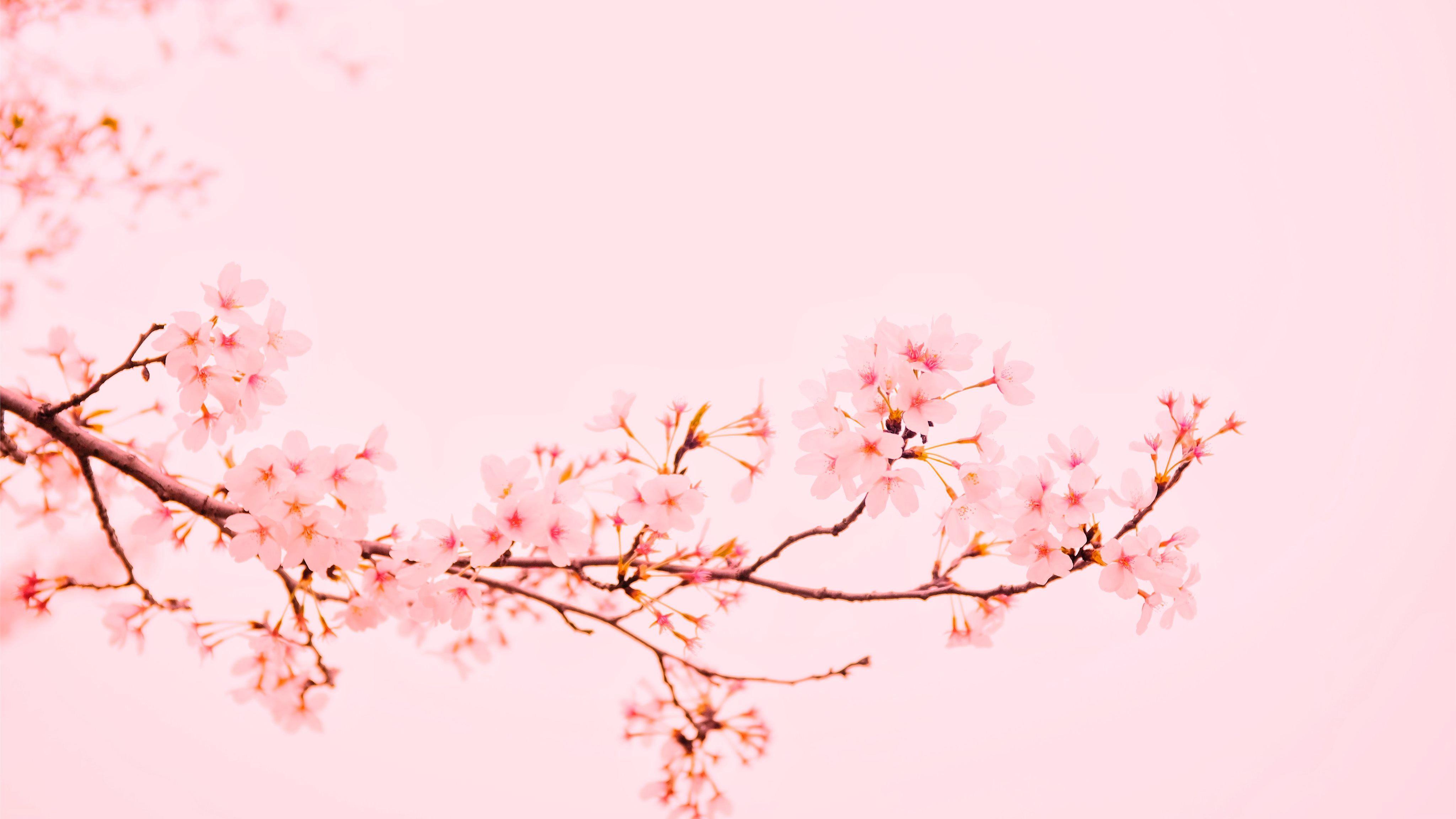 4096x2304 Best iMac Wallpaper Free HD