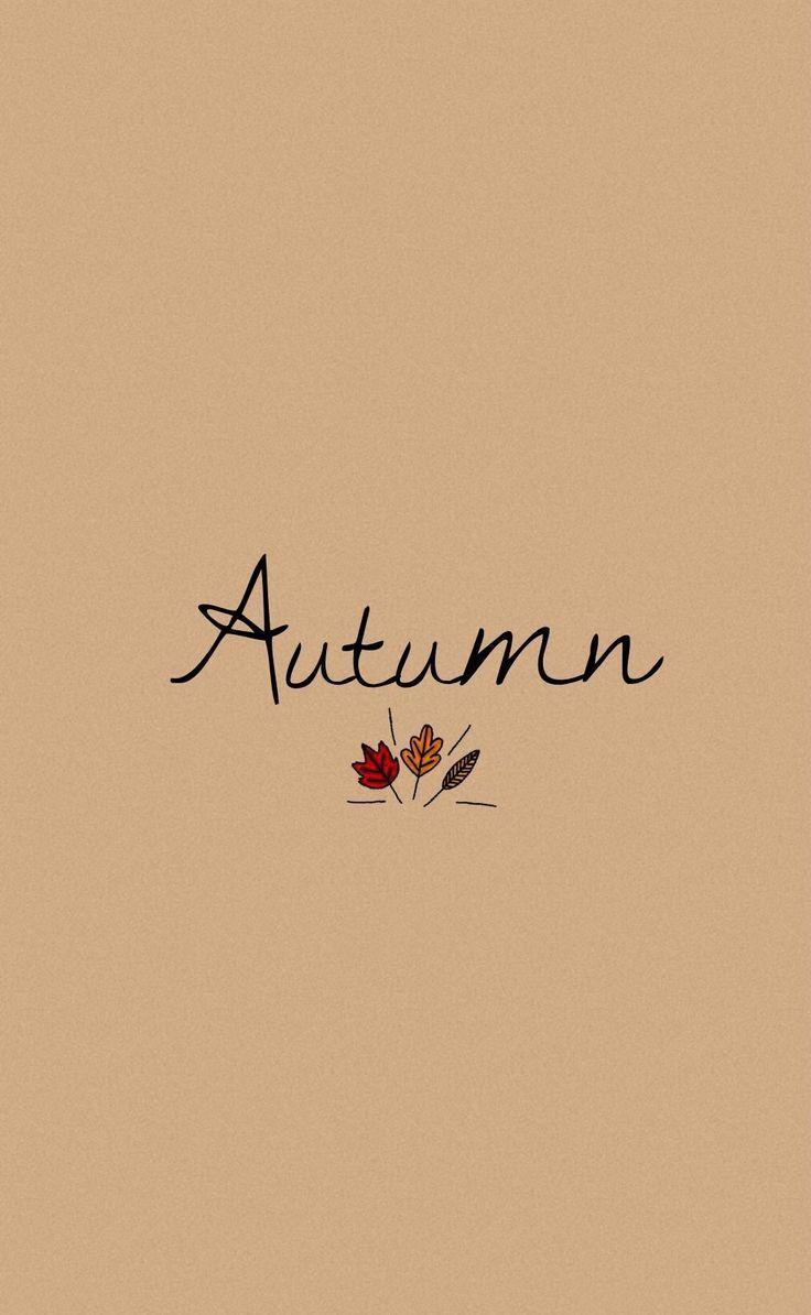 736x1194 Autumn phone wallpaper iPhone X Wallpaper 389772542747299957