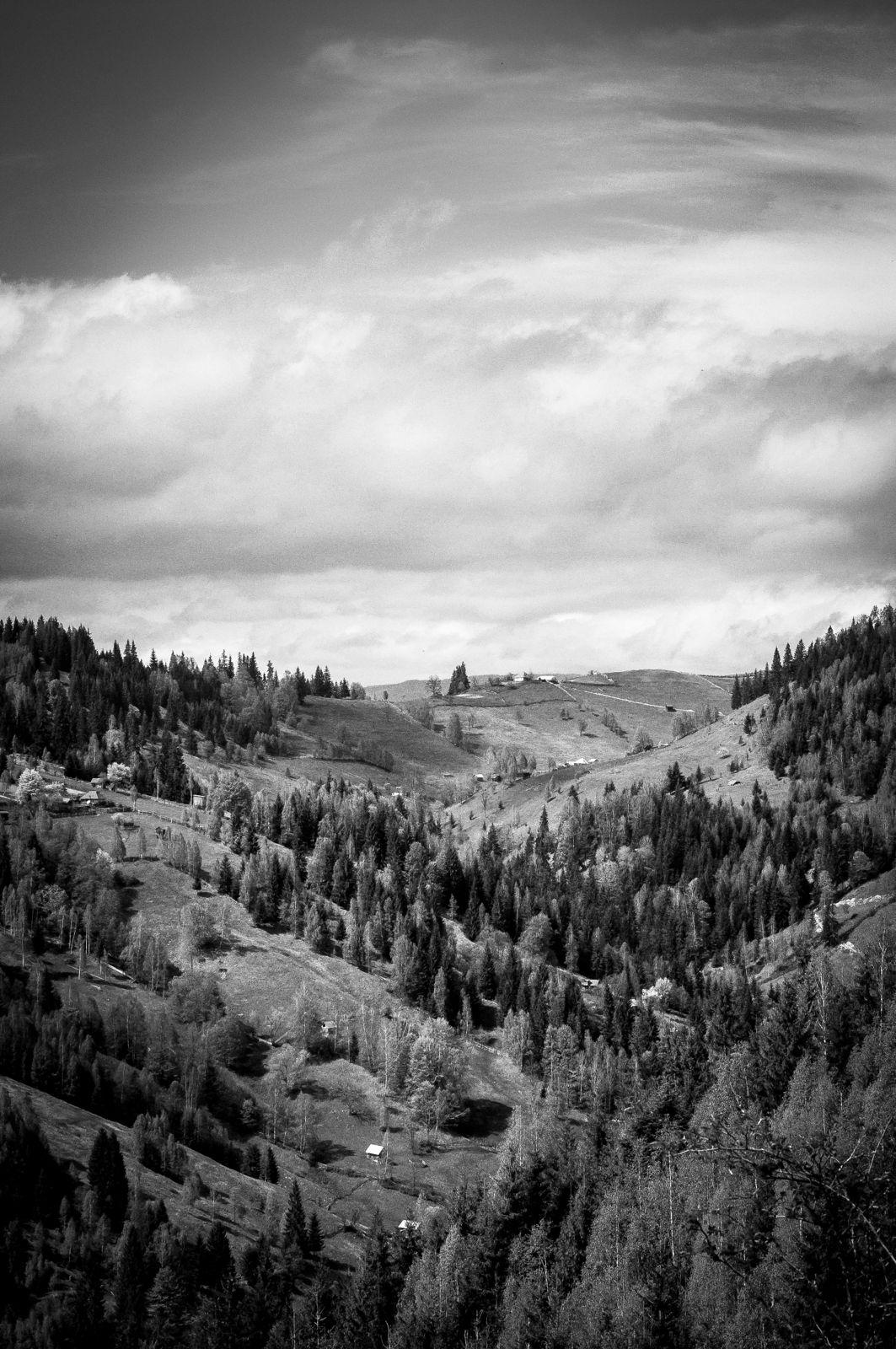 1063x1600 Nature Landscape Trees Clouds Mountains Black And White Forest Hills Wallpaper.com. Best High Quality Wallpaper