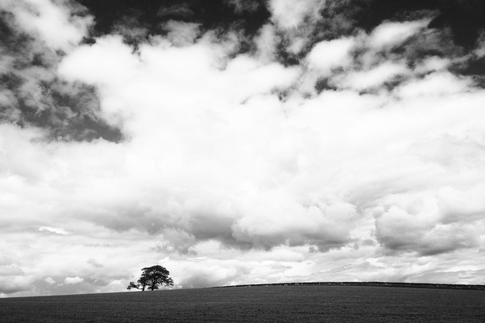 Black and White Sky Wallpapers Top Free Black and White Sky