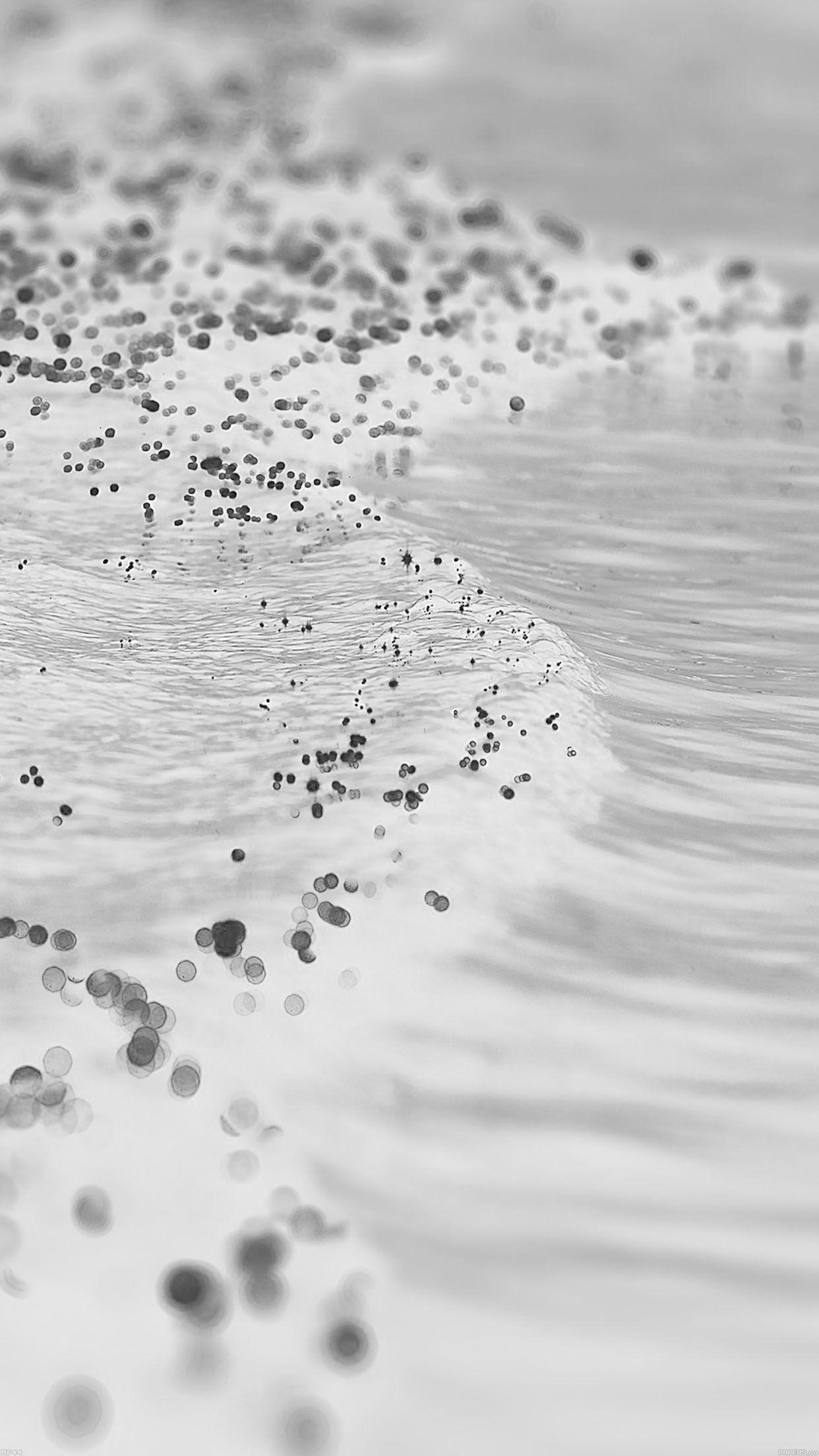 1242x2208 Gold Sea White Black Sunset Ocean Nature