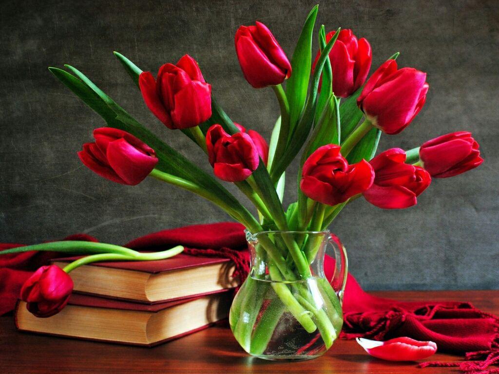 1024x768 flowers for flower lovers.: Flowers wallpaper HD Rose desktop