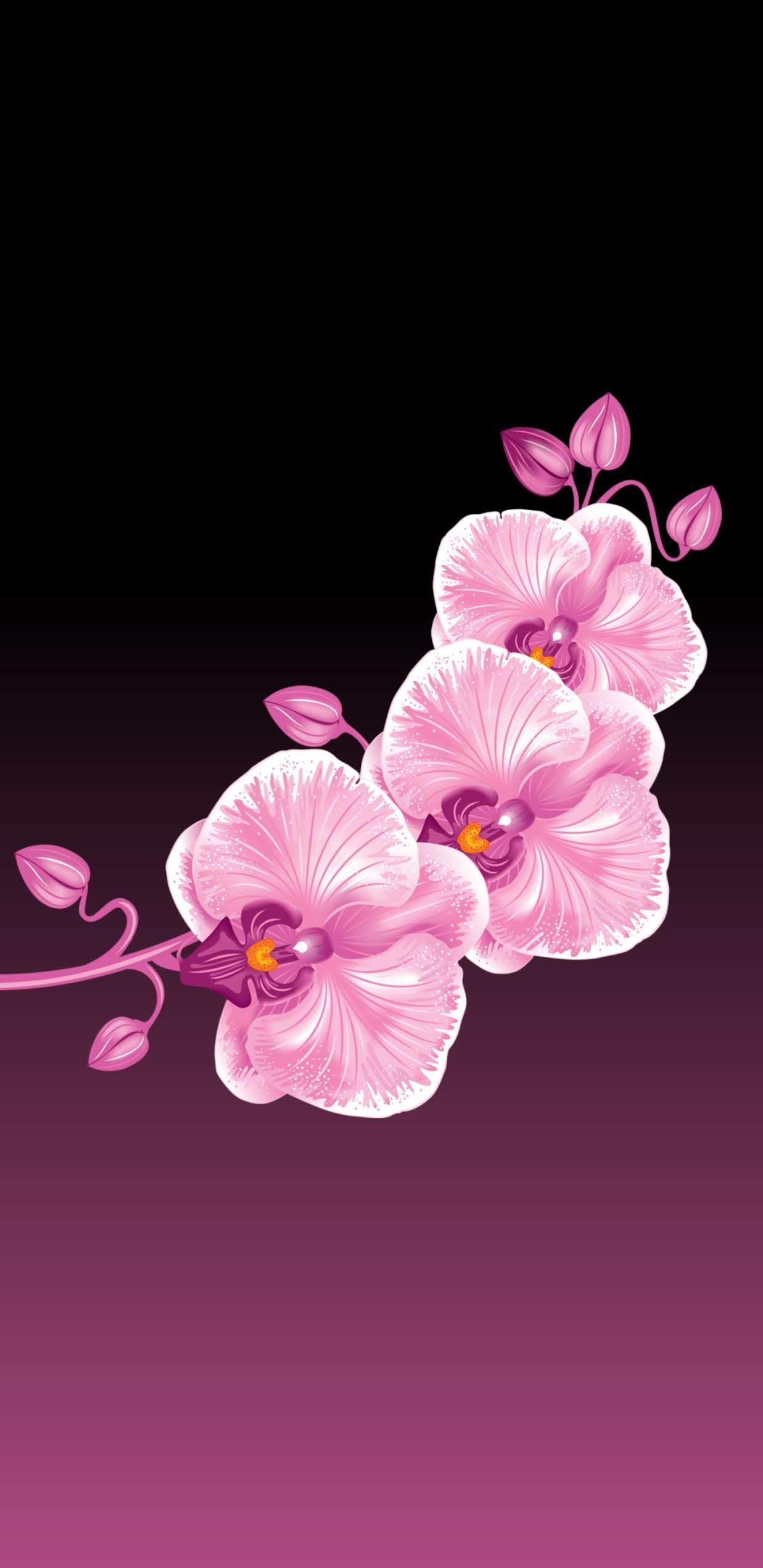 Free download Dandelion flower Samsung HD wallpaper 1080x1920 1080x1920  for your Desktop Mobile  Tablet  Explore 42 Samsung Dandelion Wallpaper   Dandelion Wallpaper Dandelion Backgrounds Dandelion Background