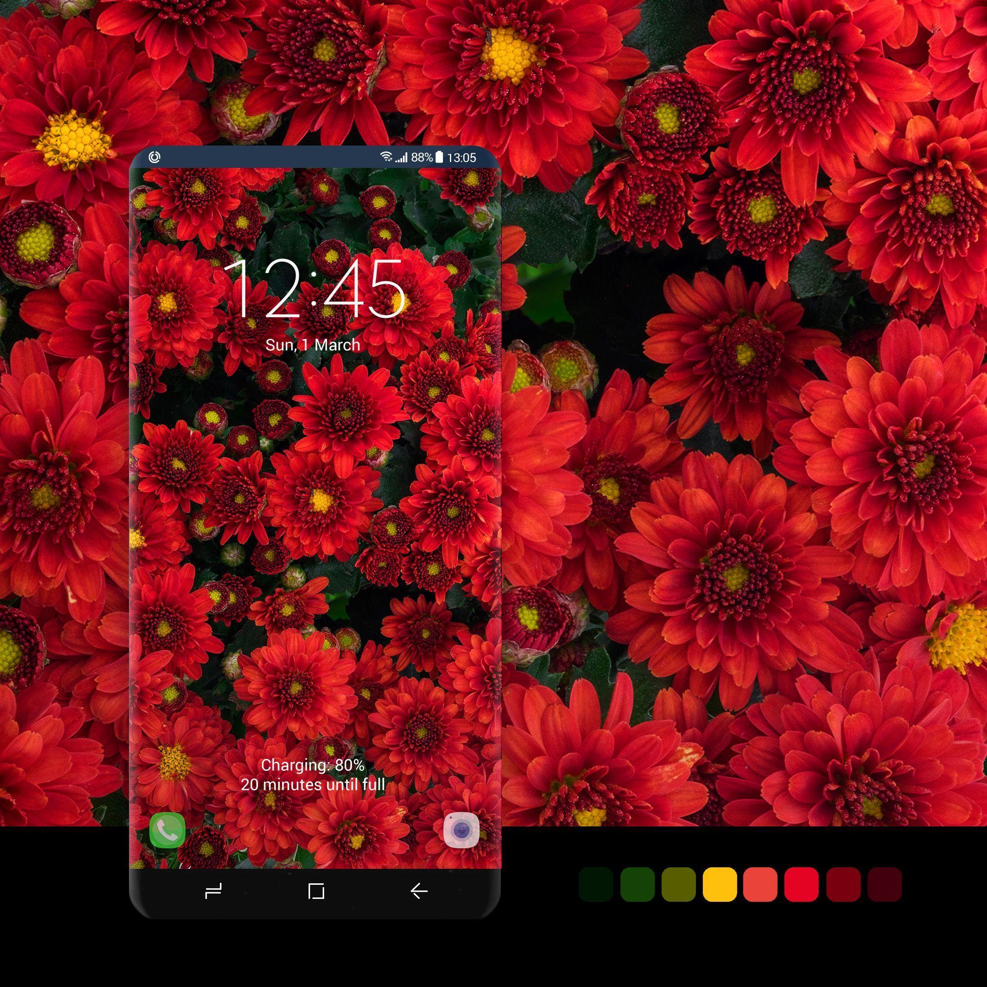 2028x2028 Fall Flowers Wallpaper