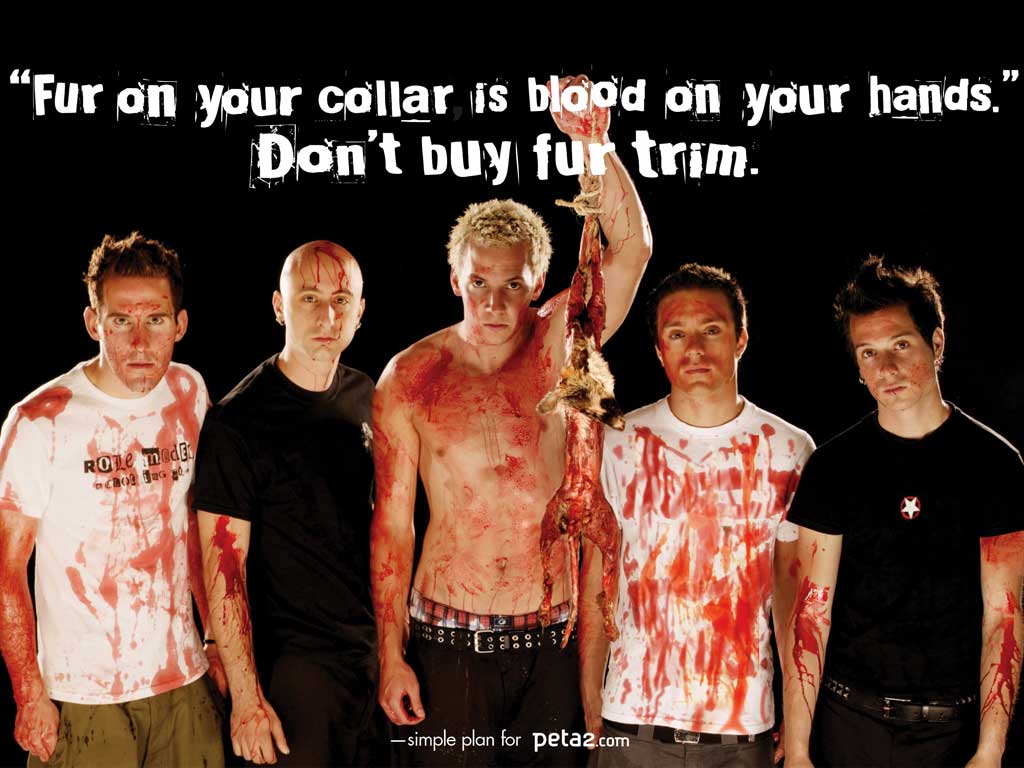 1024x768 New wallpaper nature: Simple Plan Wallpaper
