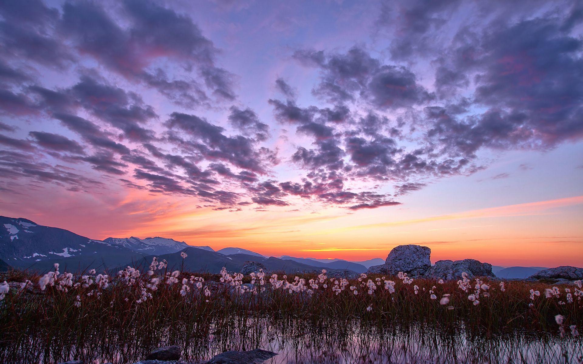 1920x1200 nature, Landscapes, Mountains, Flowers, Plants, Lakes, Ponds