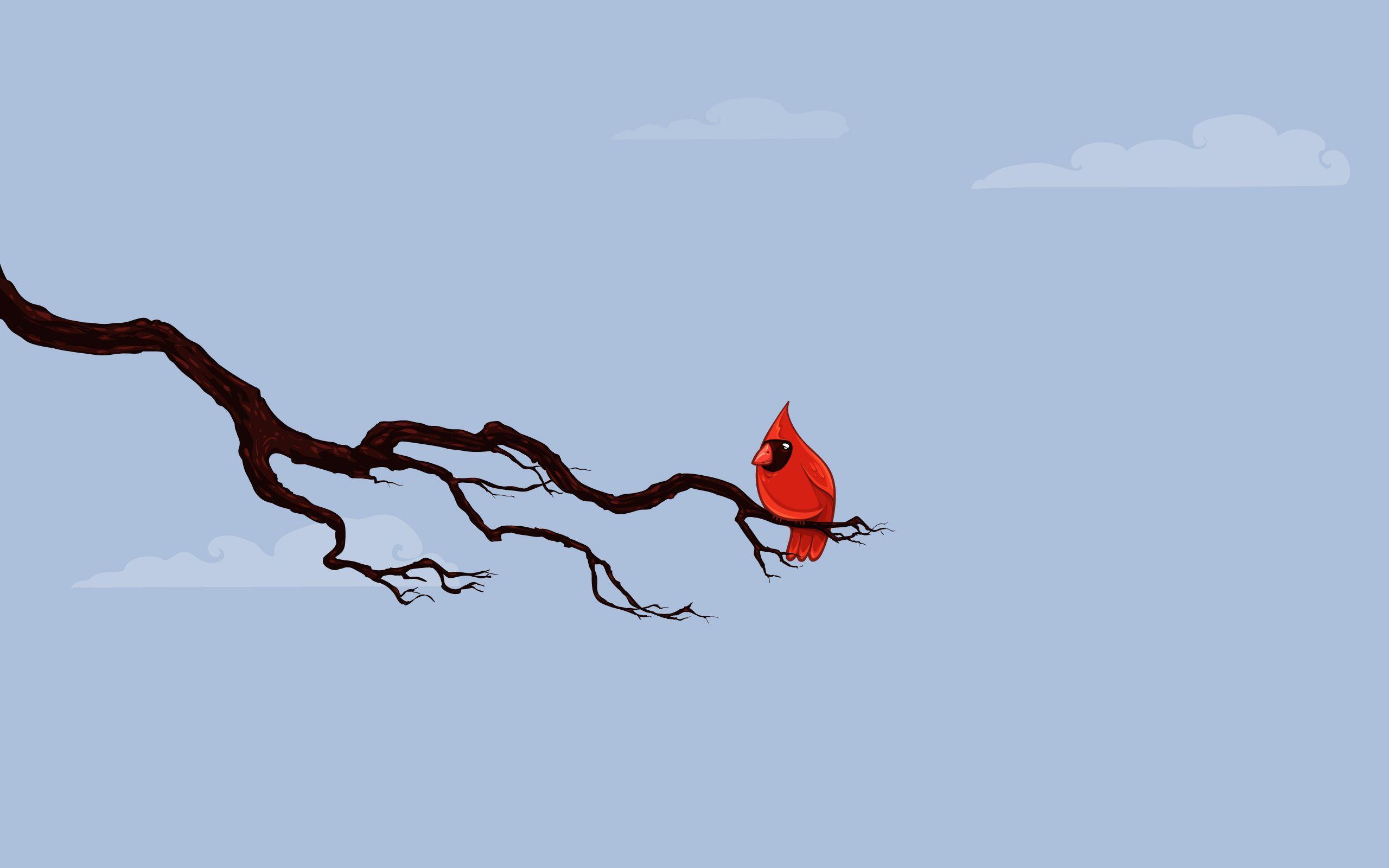 2560x1600 Cool Wallpaper