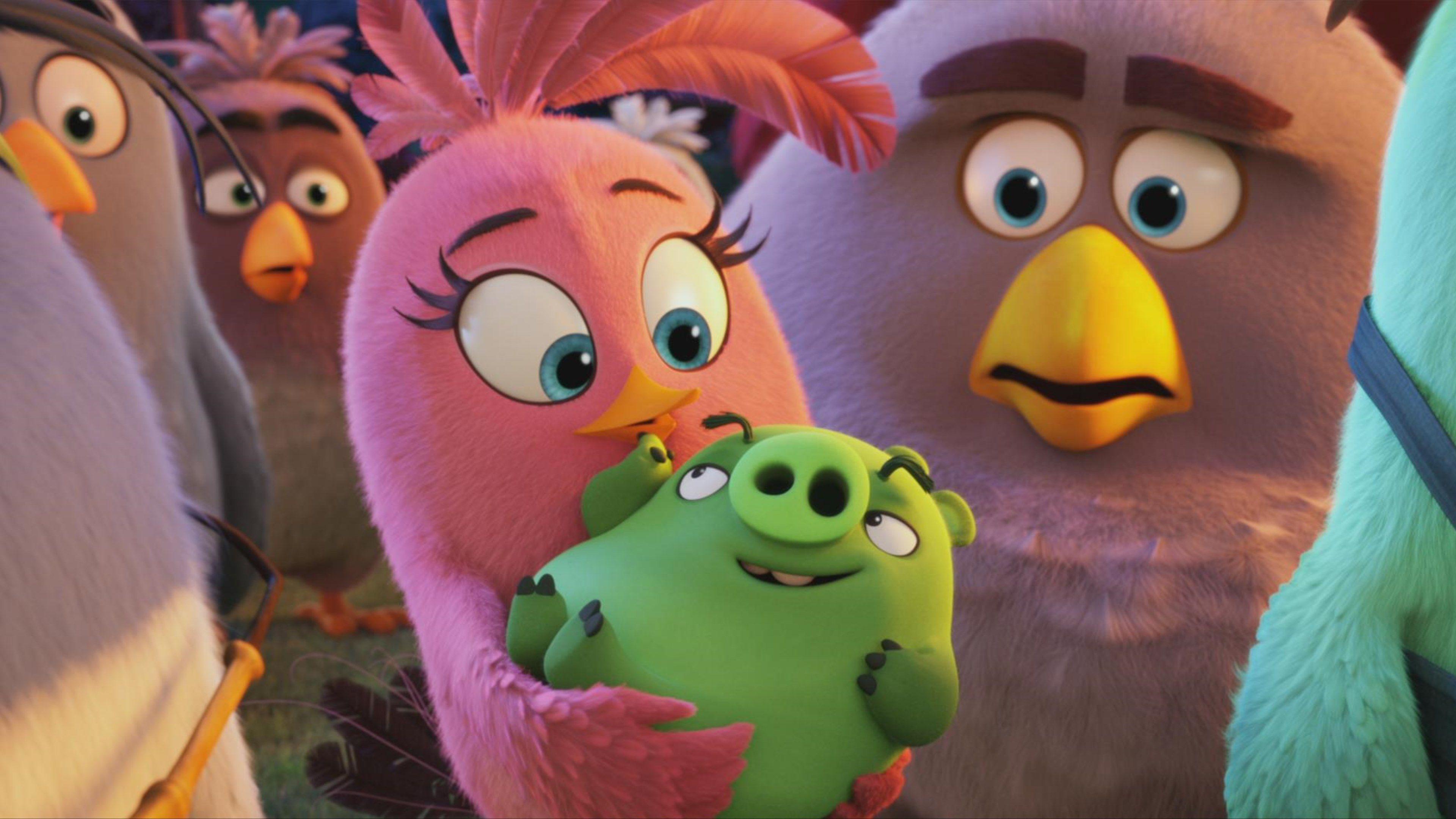 3840x2160 The Angry Birds Animated Movie, HD Movies, 4k Wallpaper, Image