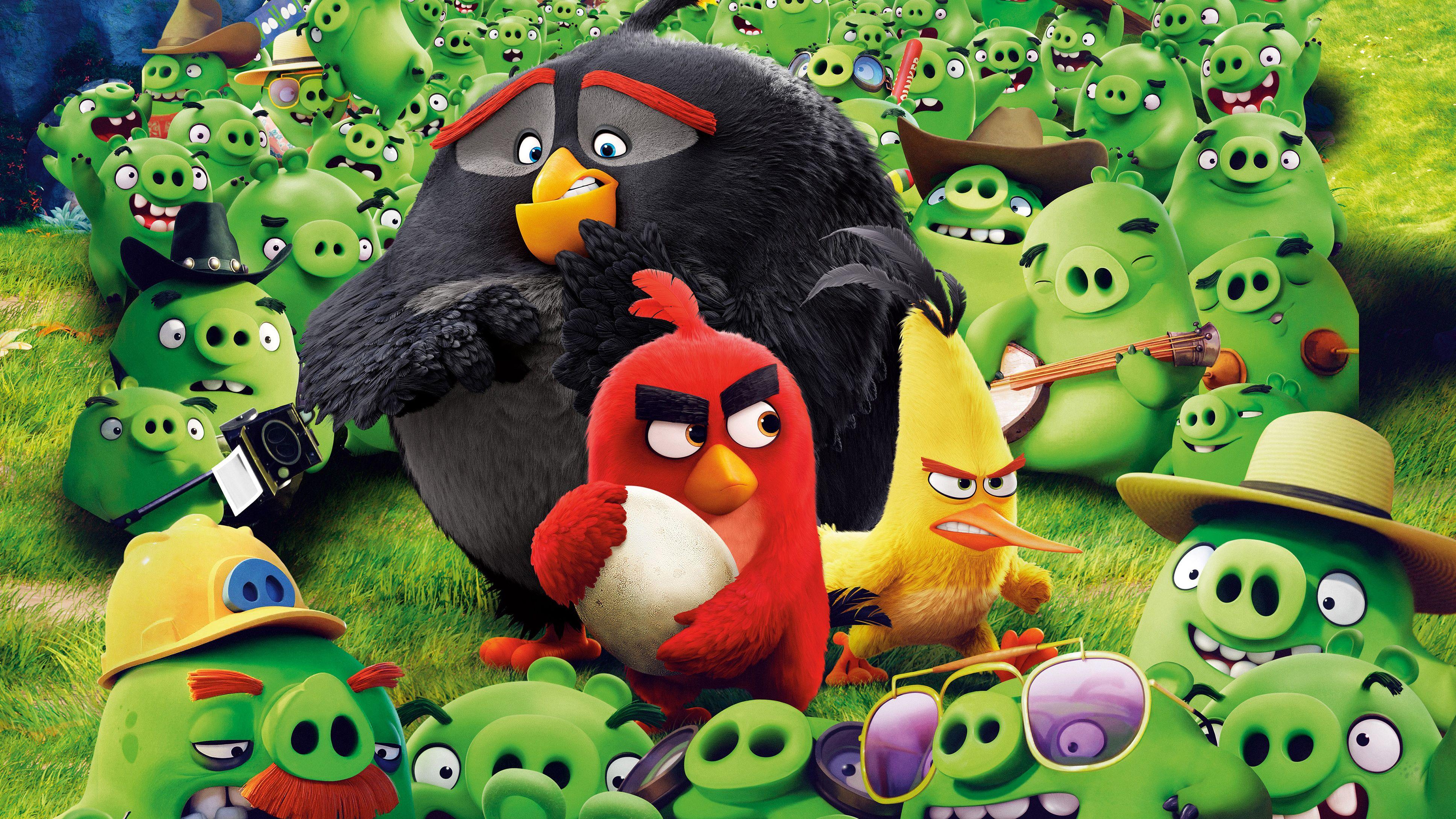 3872x2178 Angry Birds Save The Egg 4k, HD Movies, 4k Wallpaper, Image