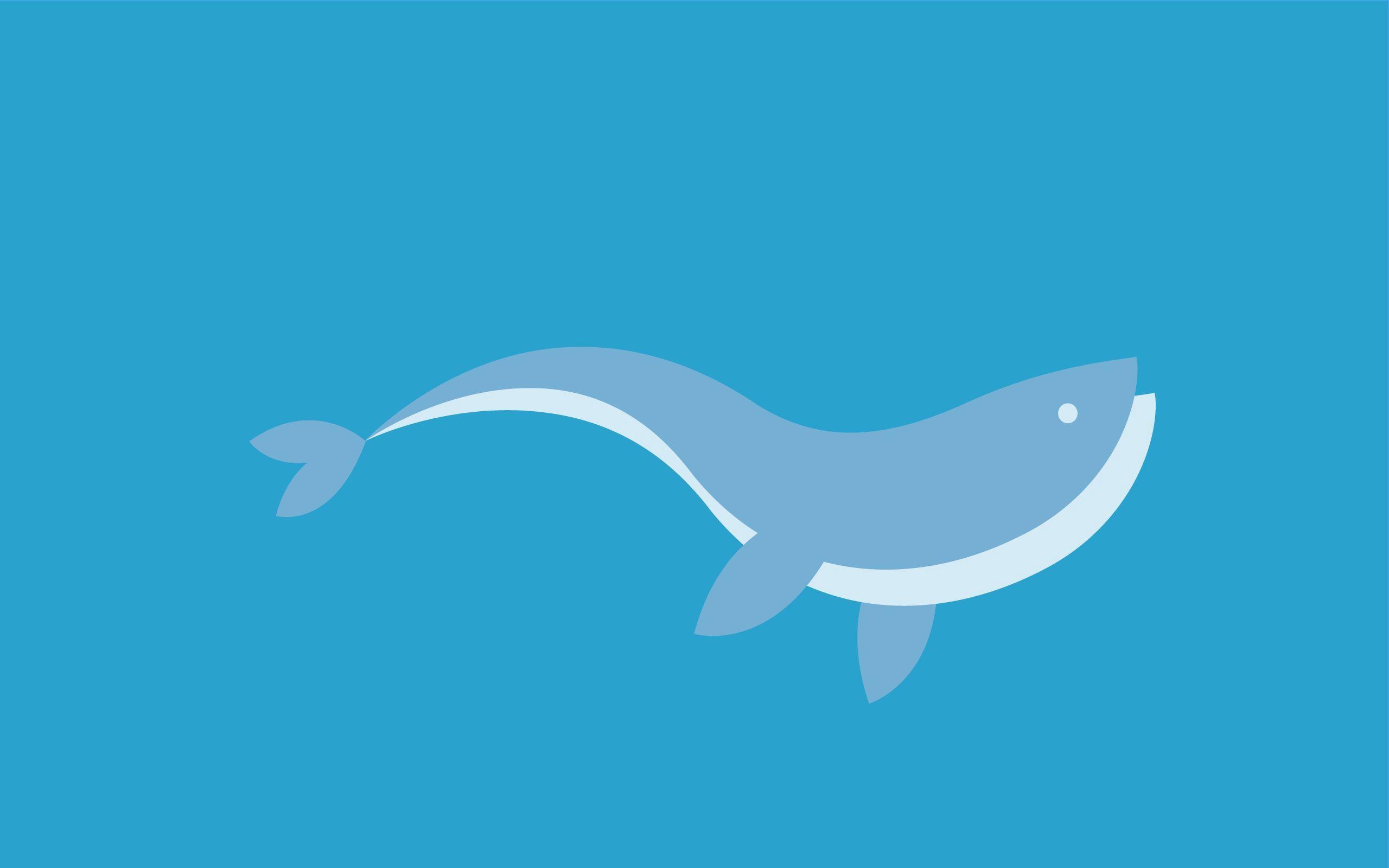 2560x1600 Download wallpaper 2560x1600 dolphin, swim, fish, graphics HD