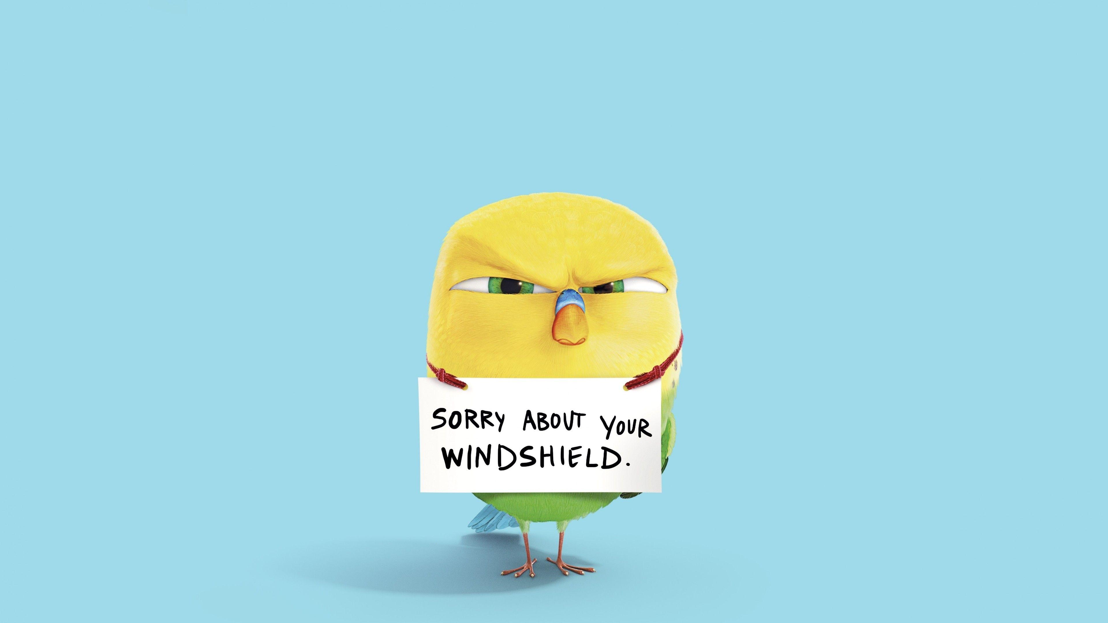 3840x2160 Wallpaper The Secret Life of Pets, bird, Best Animation Movies