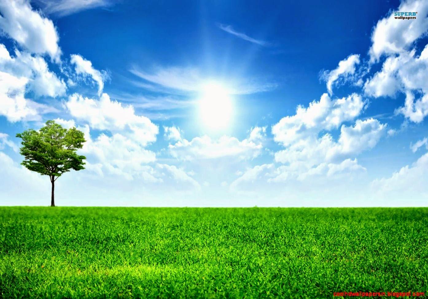 1394x976 E3K8B72 Sunny Sky Wallpaper 1394x976