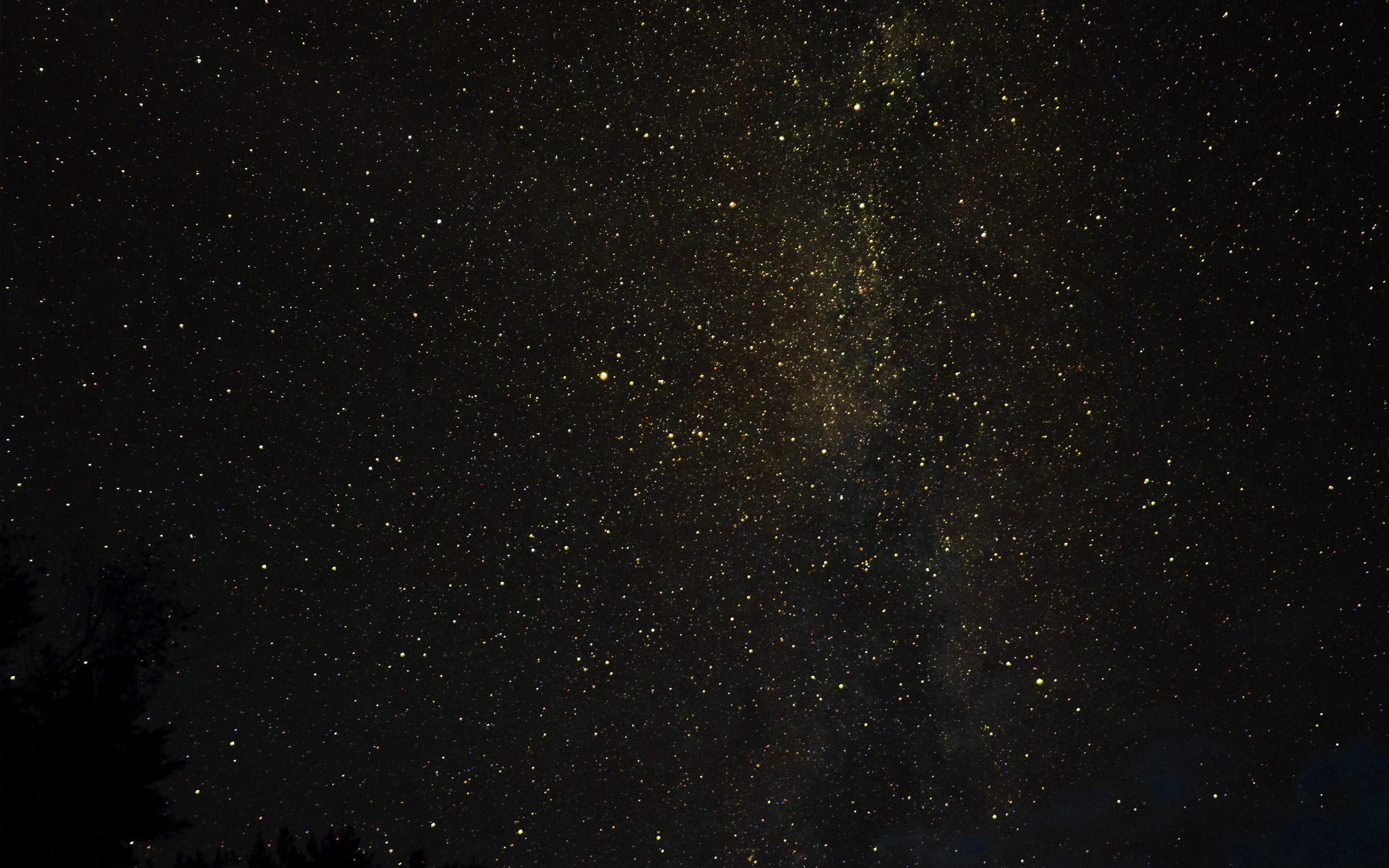 3840x2400 Night Sky Milkyway Tree Wood Nature Gold Wallpaper