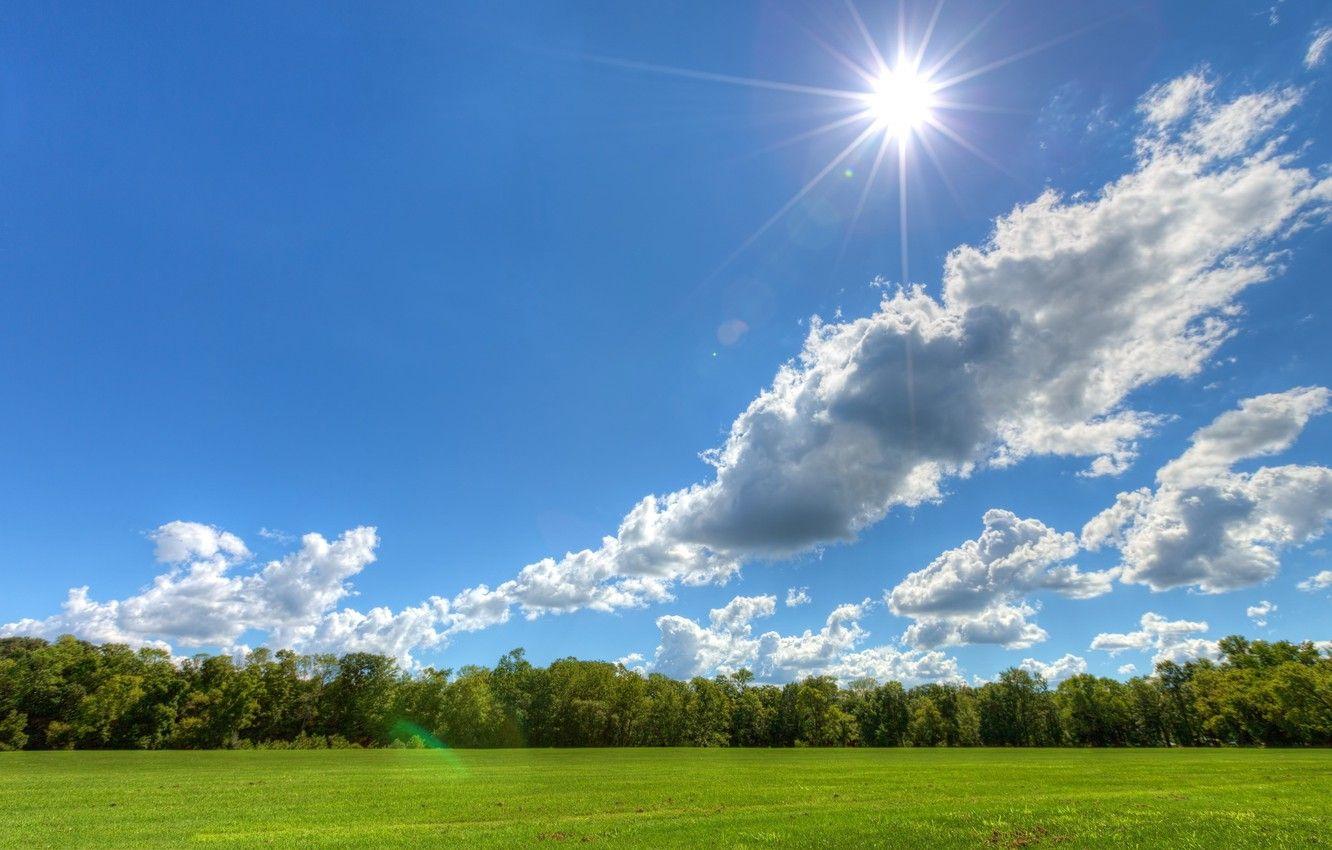 1332x850 Wallpaper the sky, clouds, trees, meadow, Sunny day, the sun