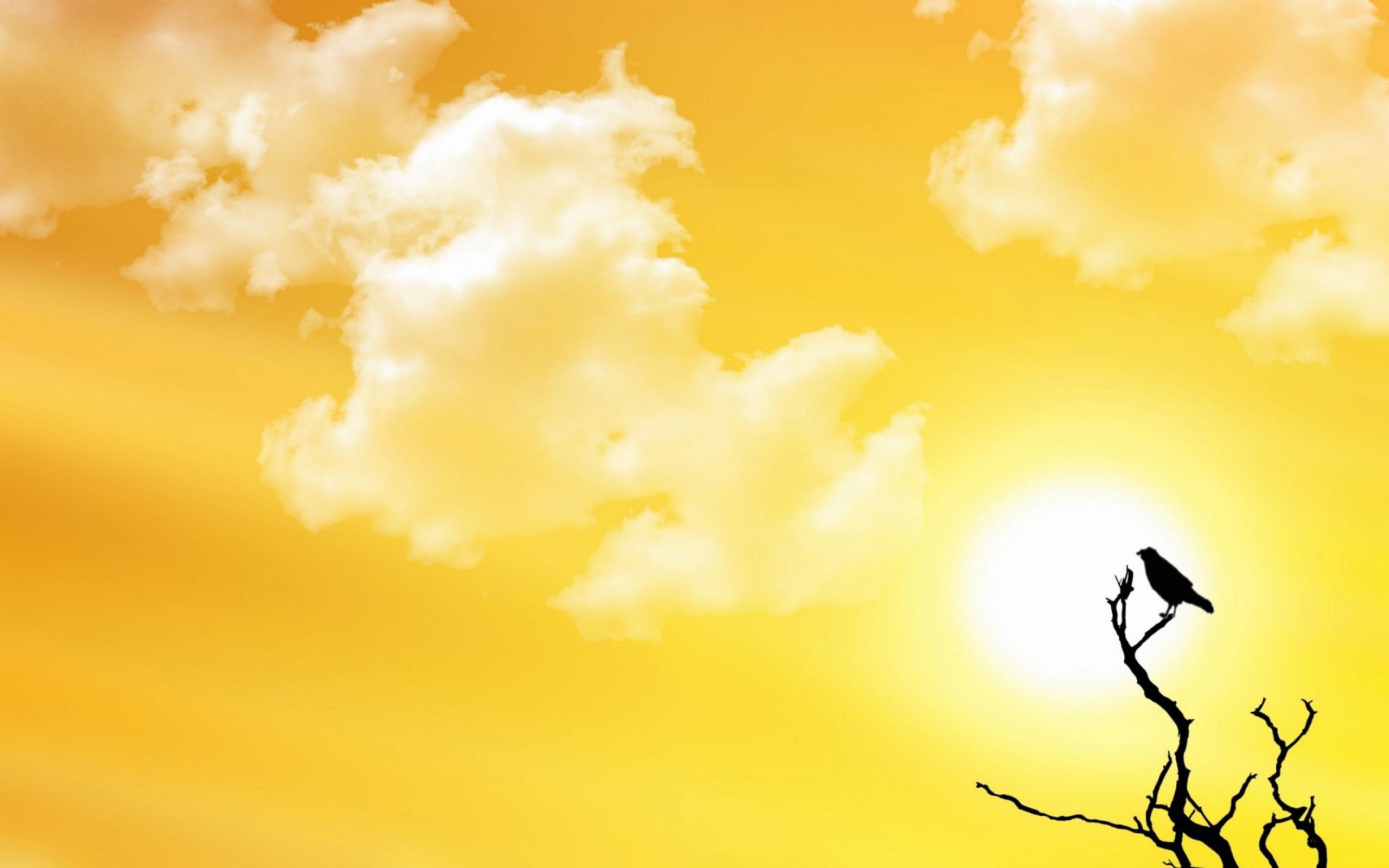 2560x1600 Sunny Sky Wallpaper