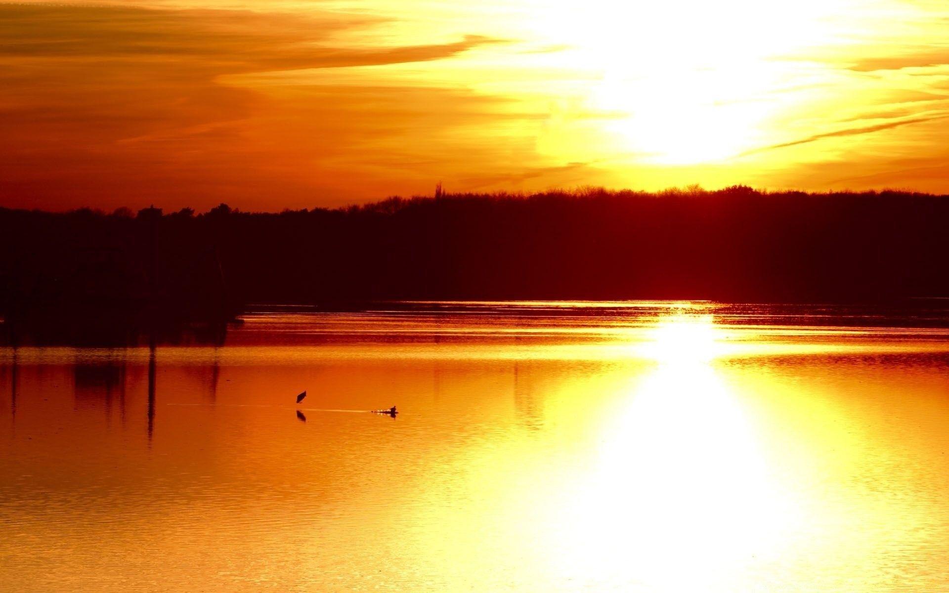 Gold Sky Wallpapers Top Free Gold Sky Backgrounds WallpaperAccess