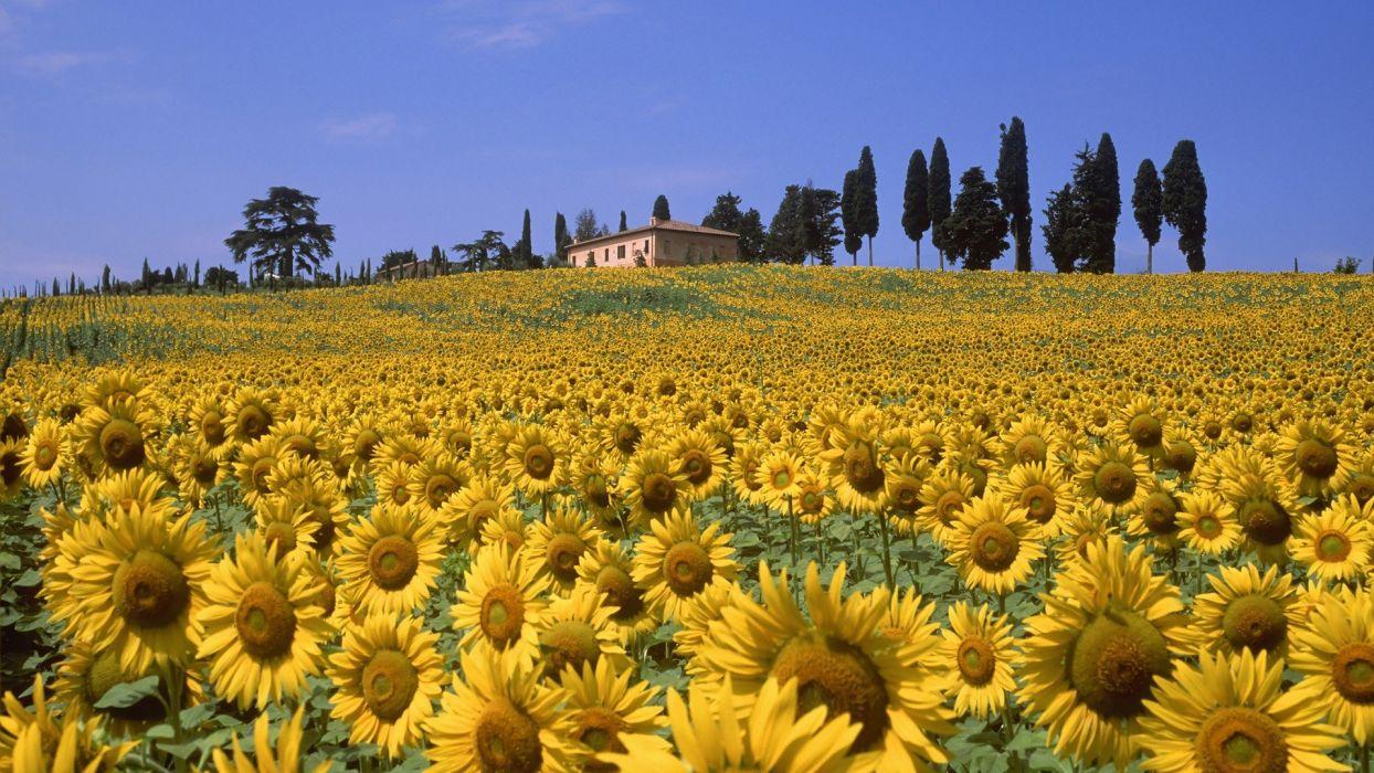 1244x700 Nature valleys Italy Tuscany wallpaperx1080
