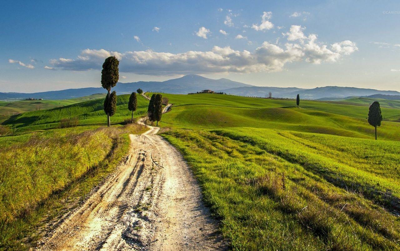 1280x804 Path Hills Trees Tuscany Italy wallpaper. Path Hills Trees