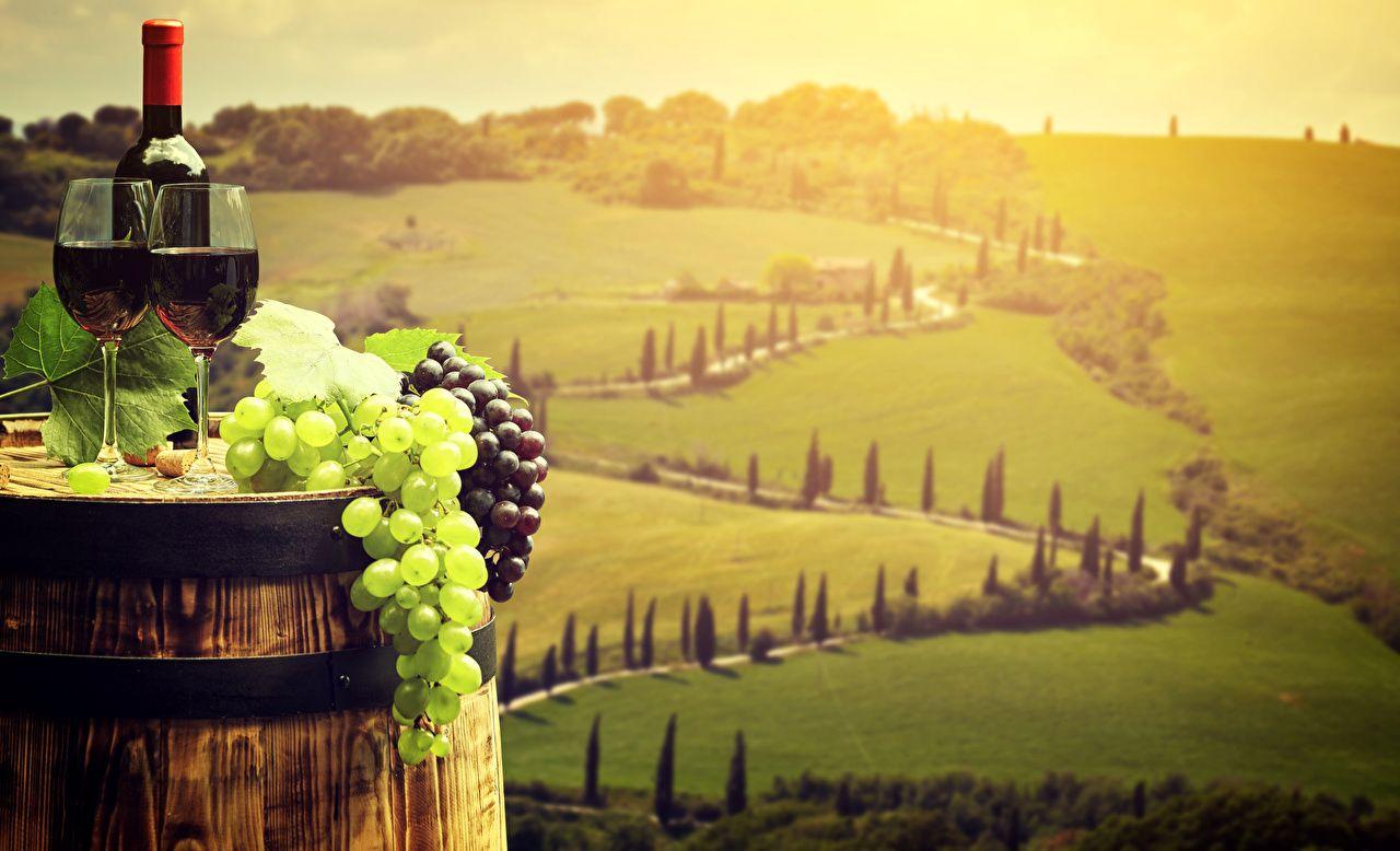 1280x778 Desktop Wallpaper Tuscany Italy Wine cask Grapes Fields Food