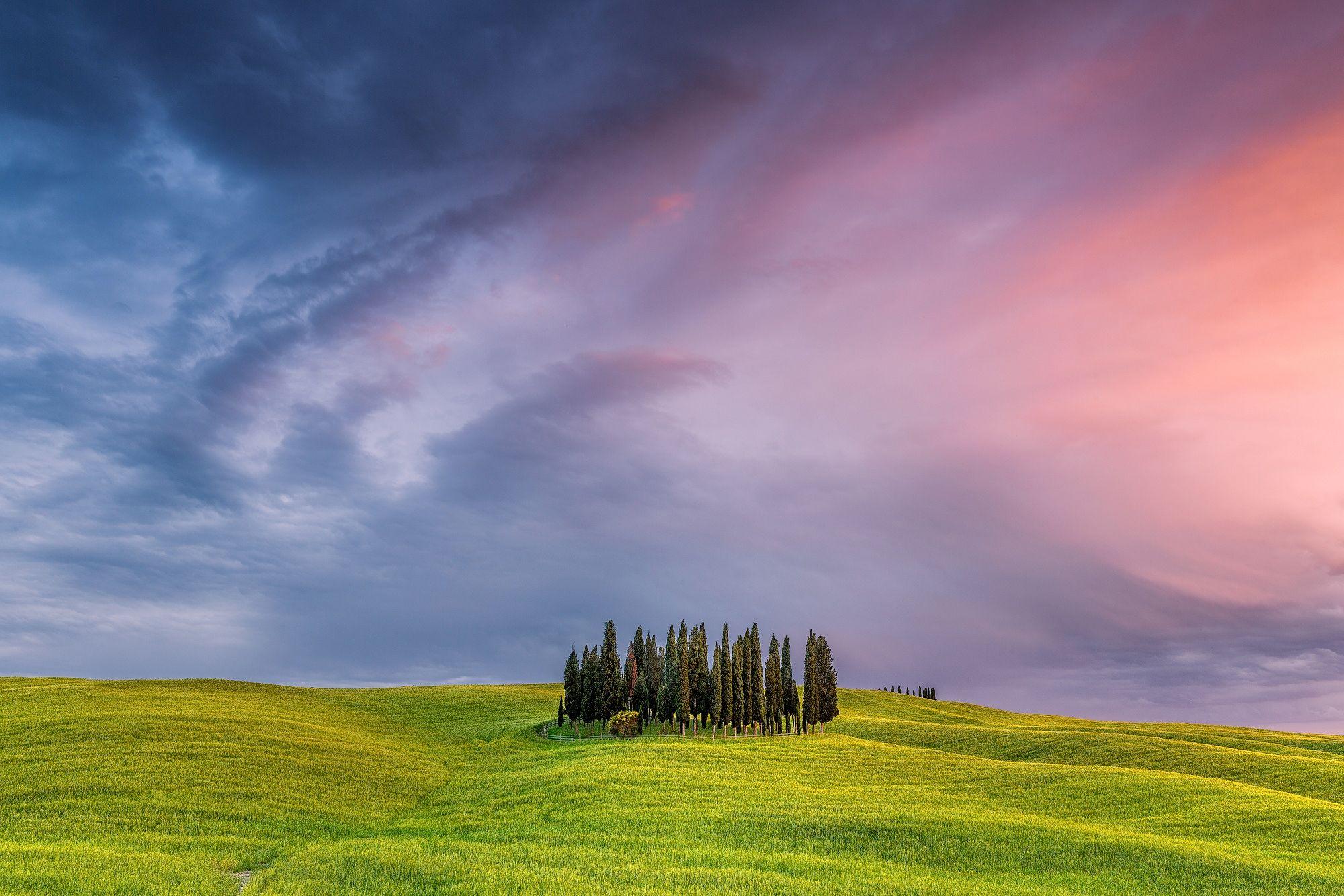 2000x1334 Tuscany Field In Italy, HD Nature, 4k Wallpaper, Image