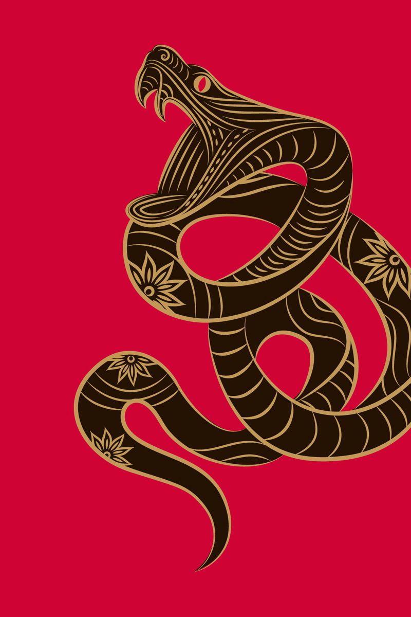 800x1200 Download wallpaper 800x1200 zodiac sign, snake, minimalism, vector
