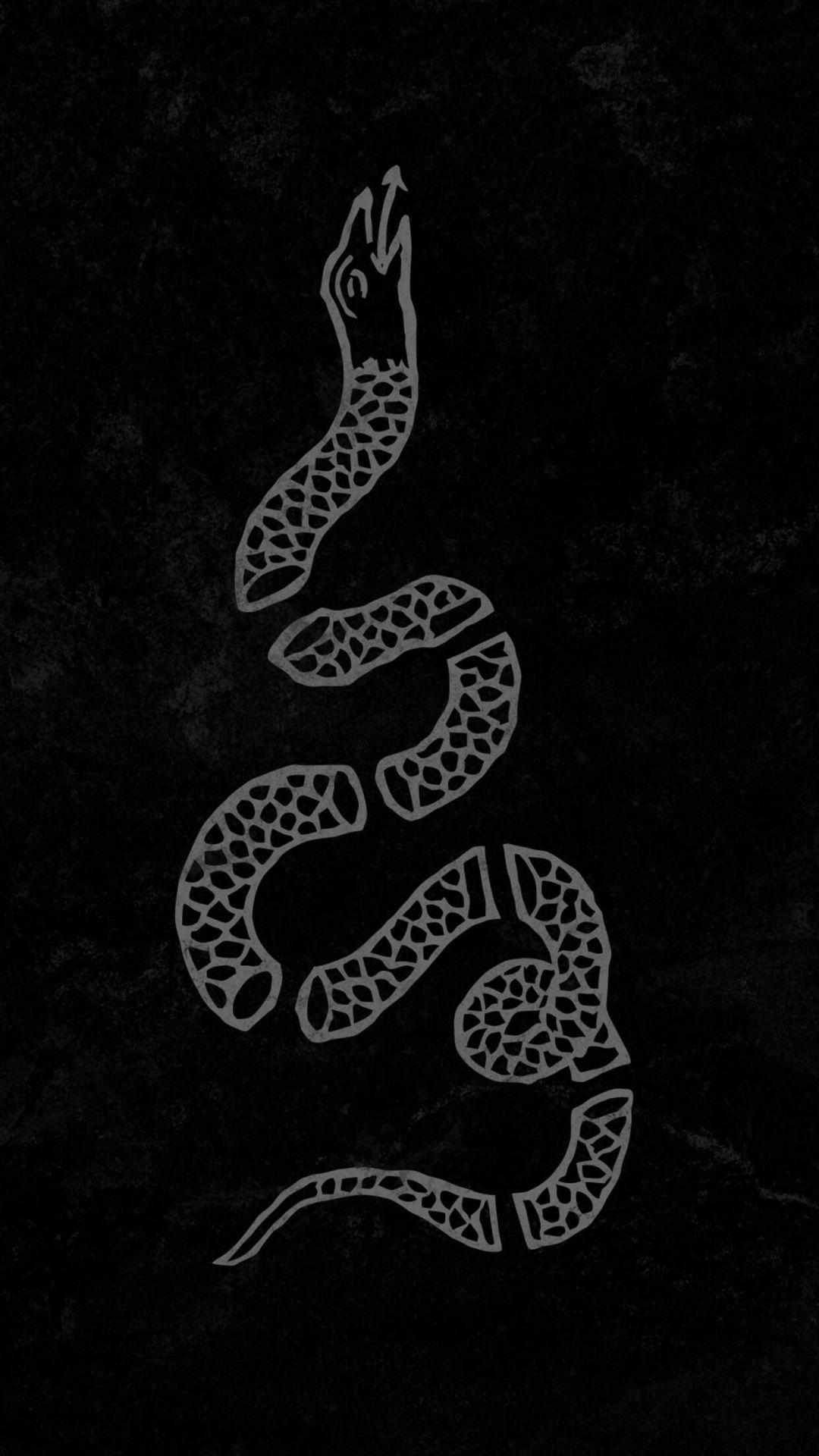 1080x1920 Snake iPhone, iPhone, Desktop HD Background