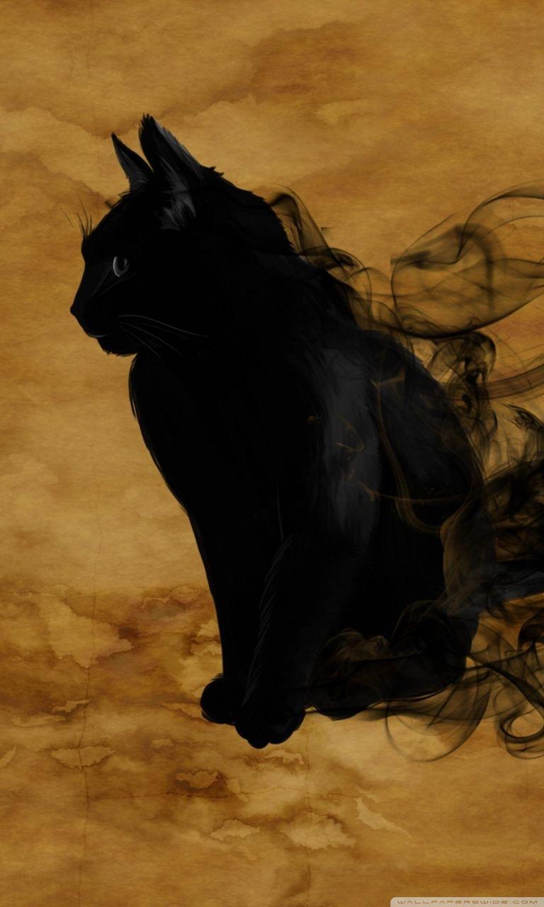 Black Cat Animal Cute Watching Dark Bw iPhone Wallpapers Free Download