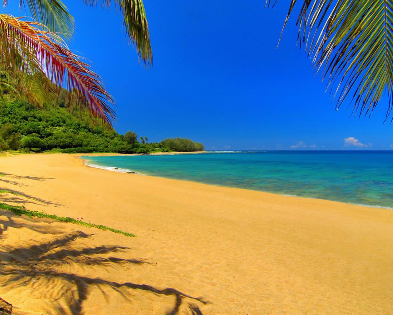 1280x1024 Cute Summer Wallpaper