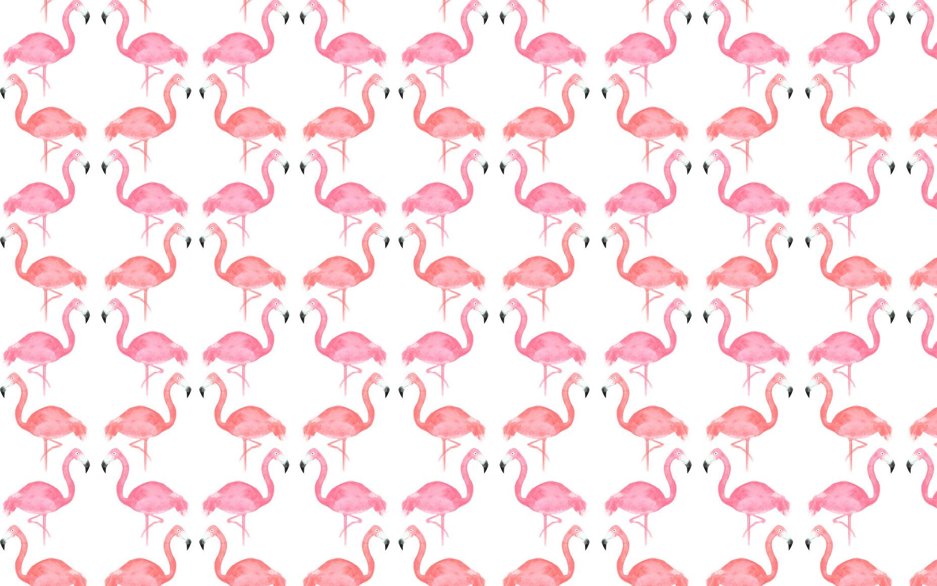 1856x1161 Cute Summer Desktop Wallpaper 1856x